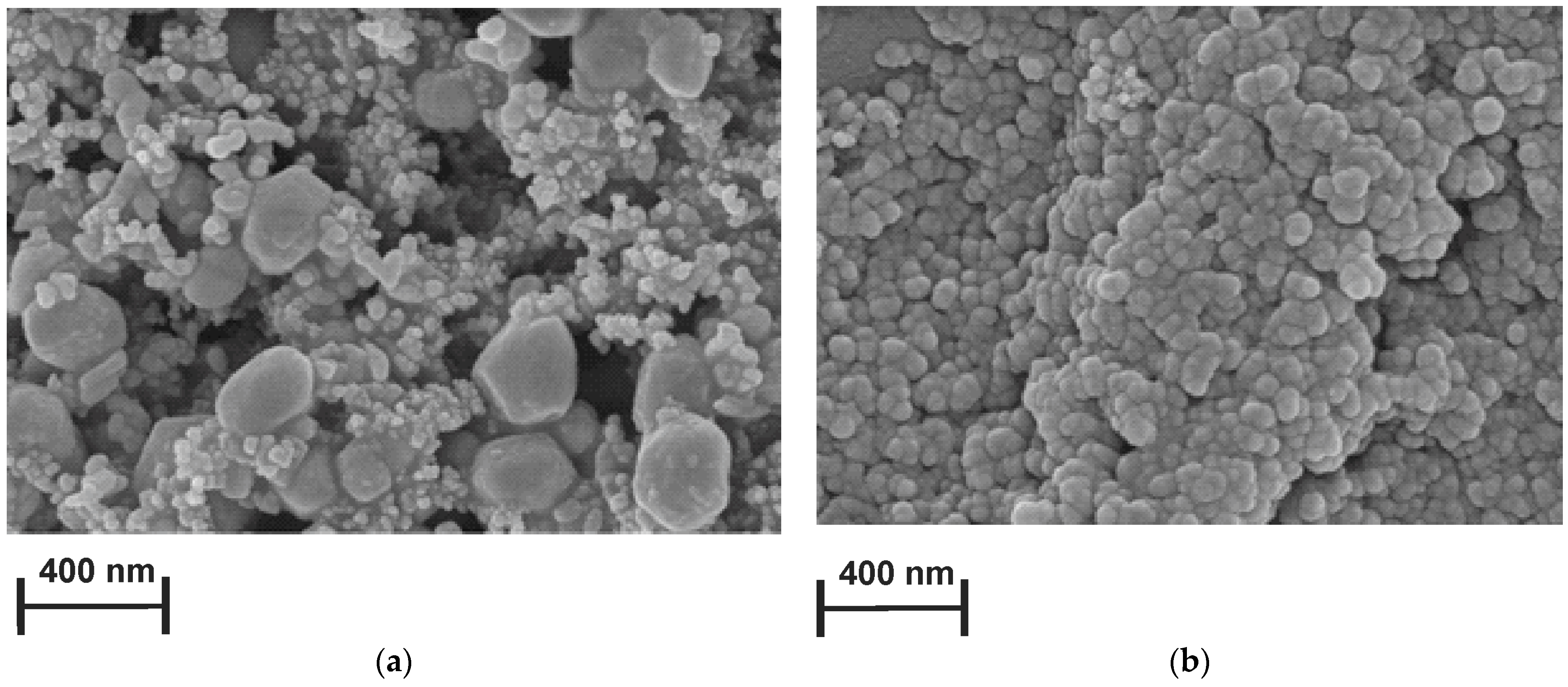 Biosensors 13 00931 g005