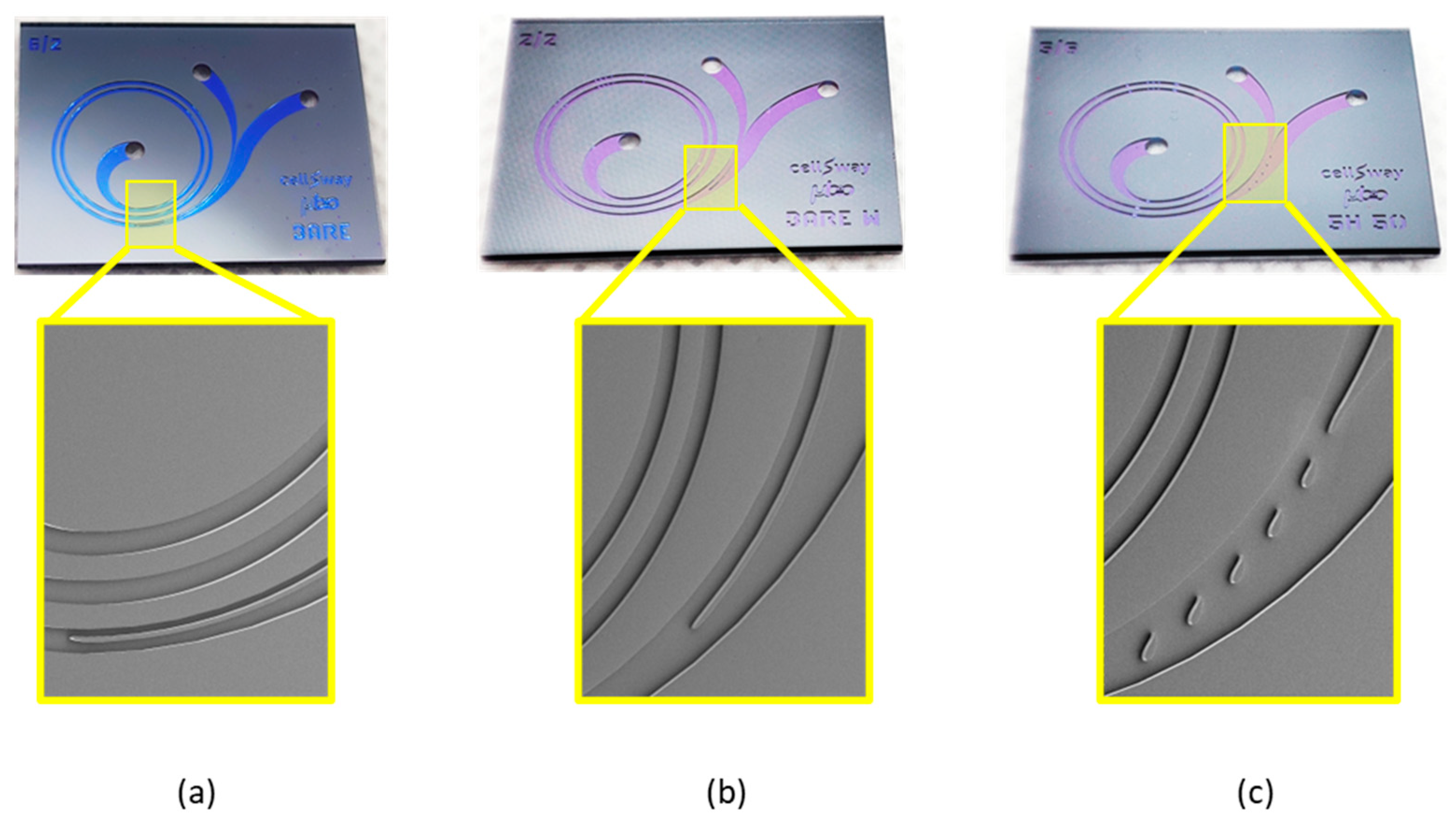 Biosensors 13 00938 g005