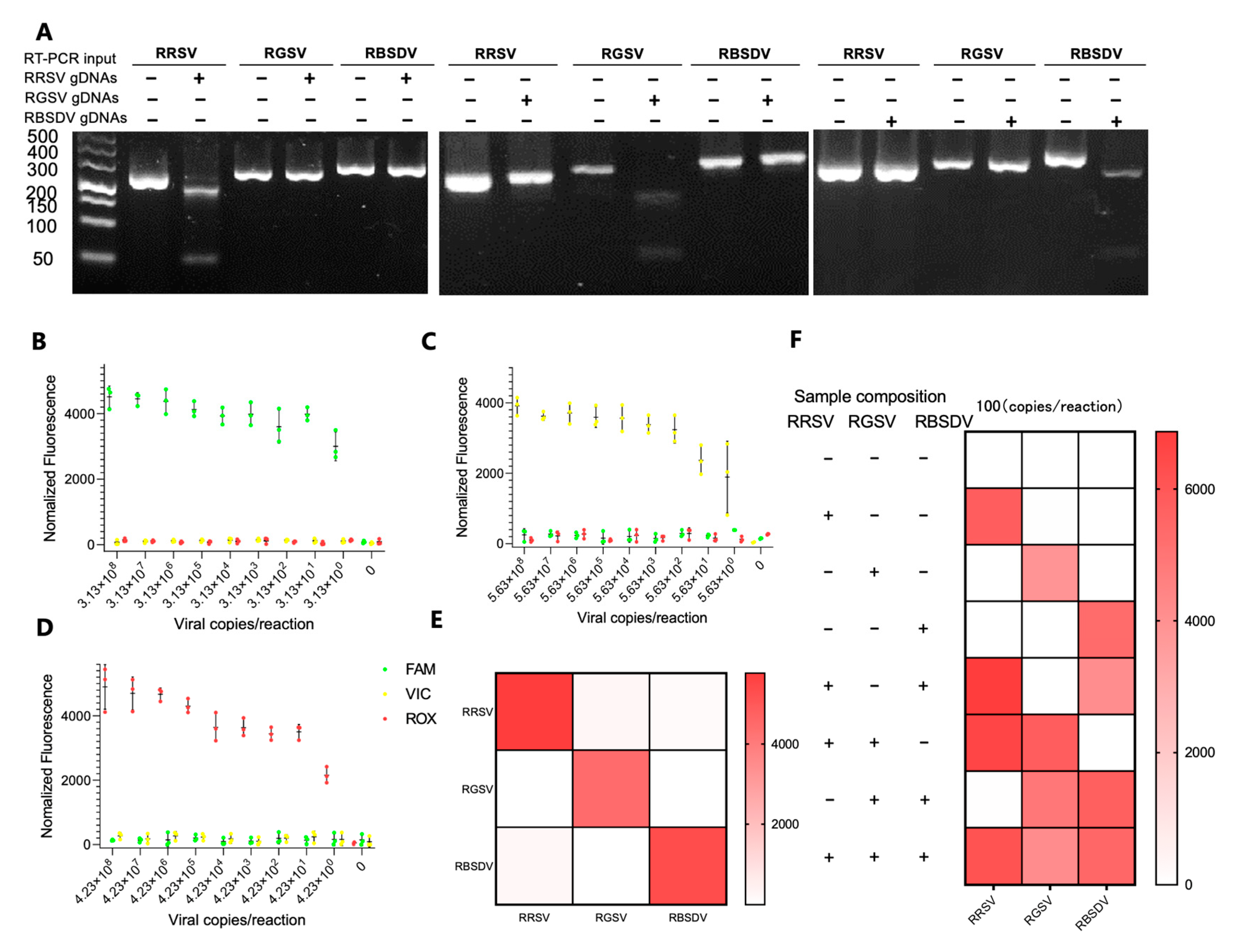 Biosensors 13 00941 g004