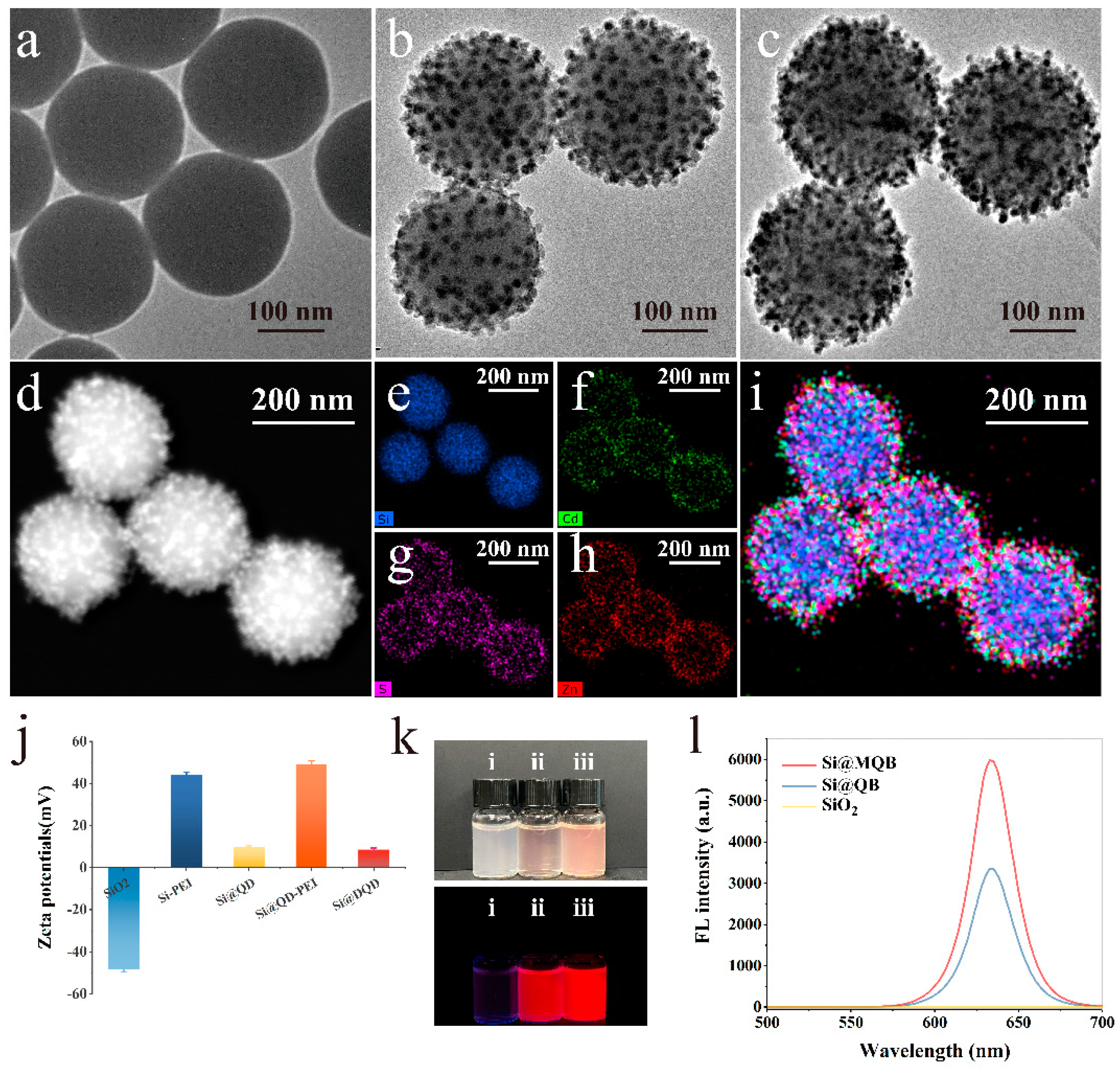 Biosensors 13 00945 g001