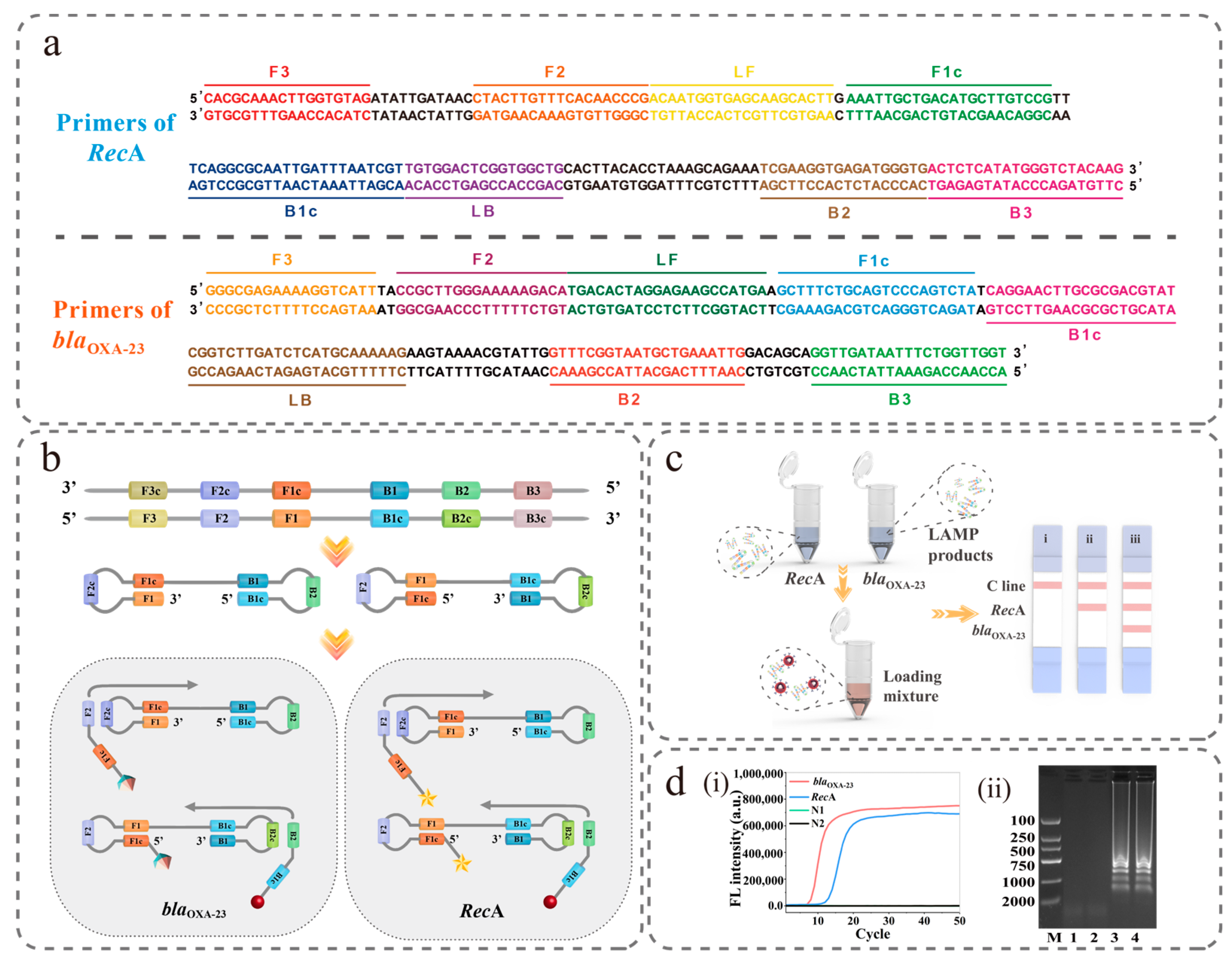 Biosensors 13 00945 g002
