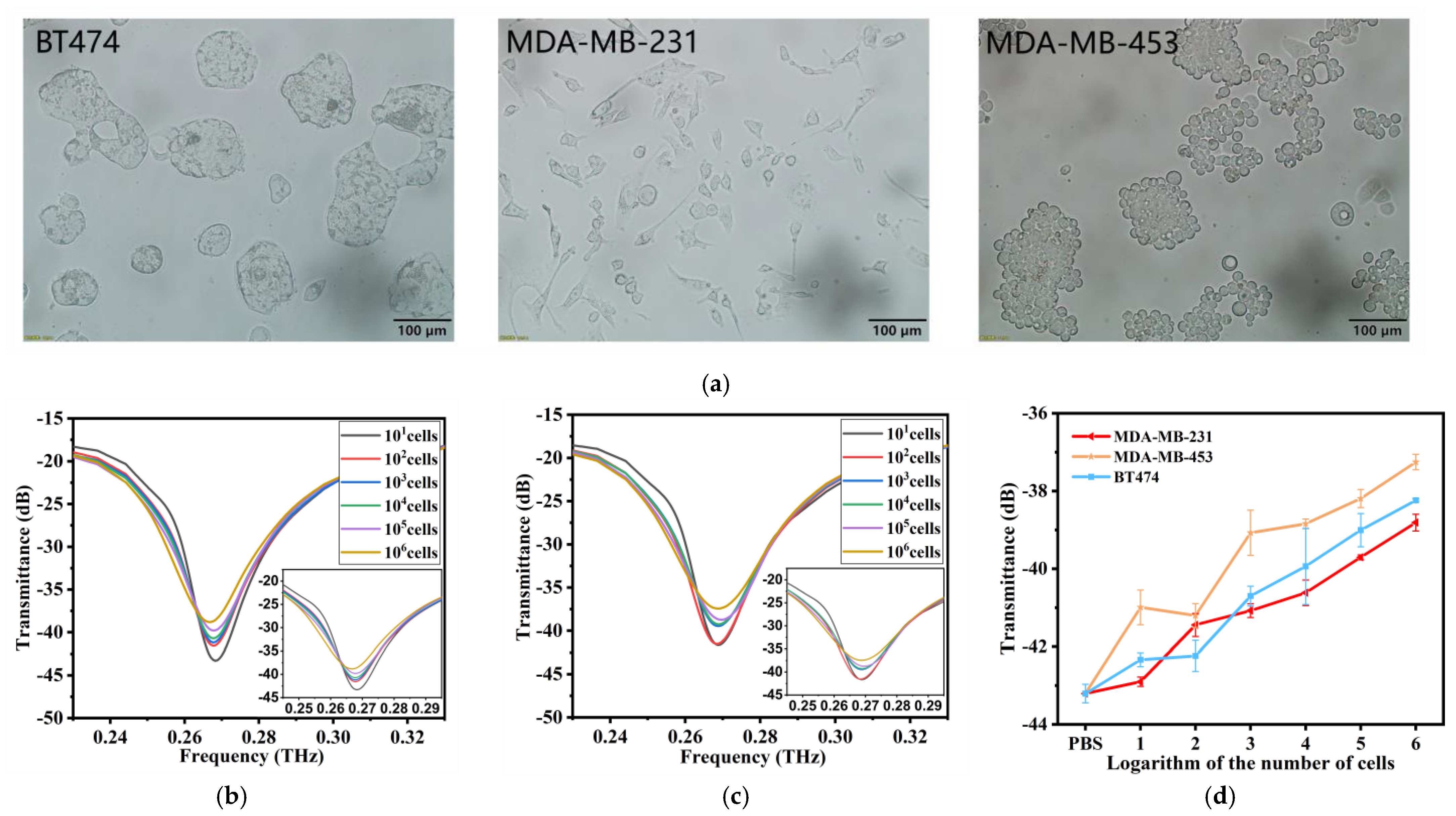 Biosensors 13 00947 g004