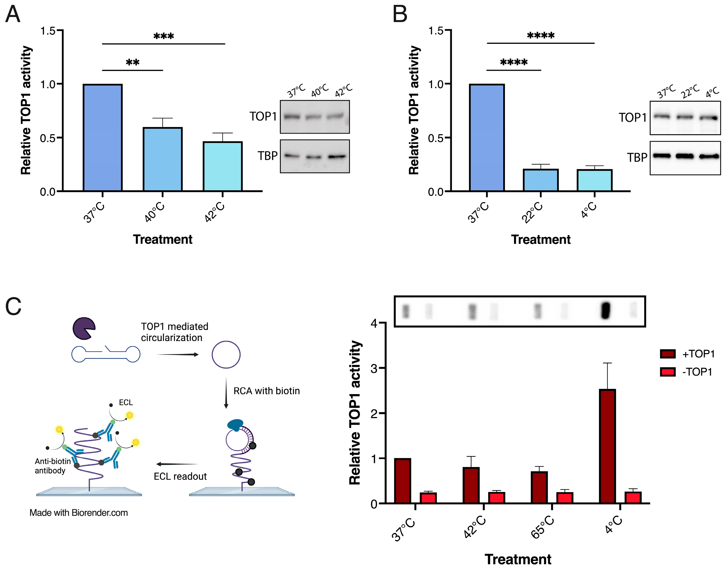 Biosensors 13 00950 g004