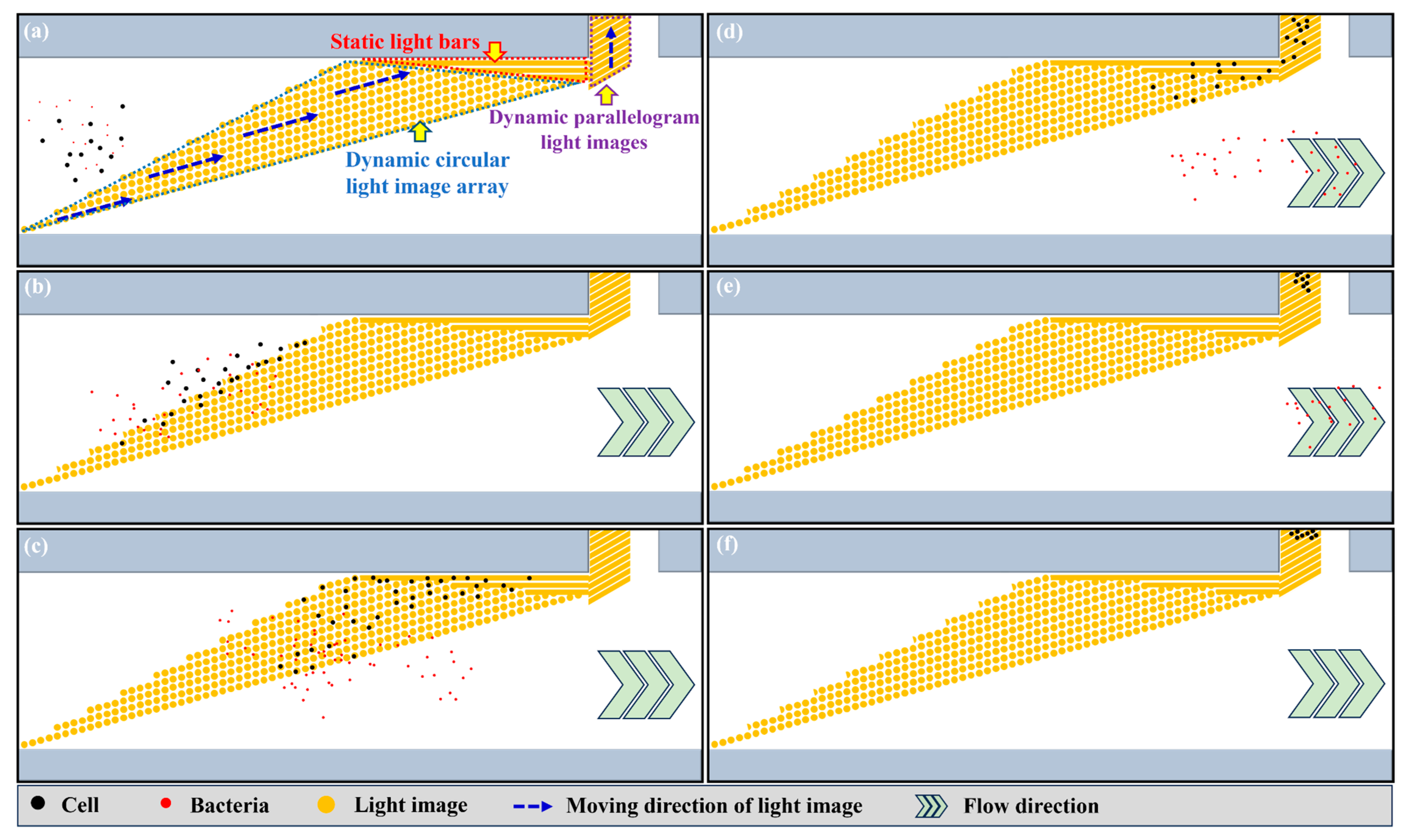 Biosensors 13 00952 g002