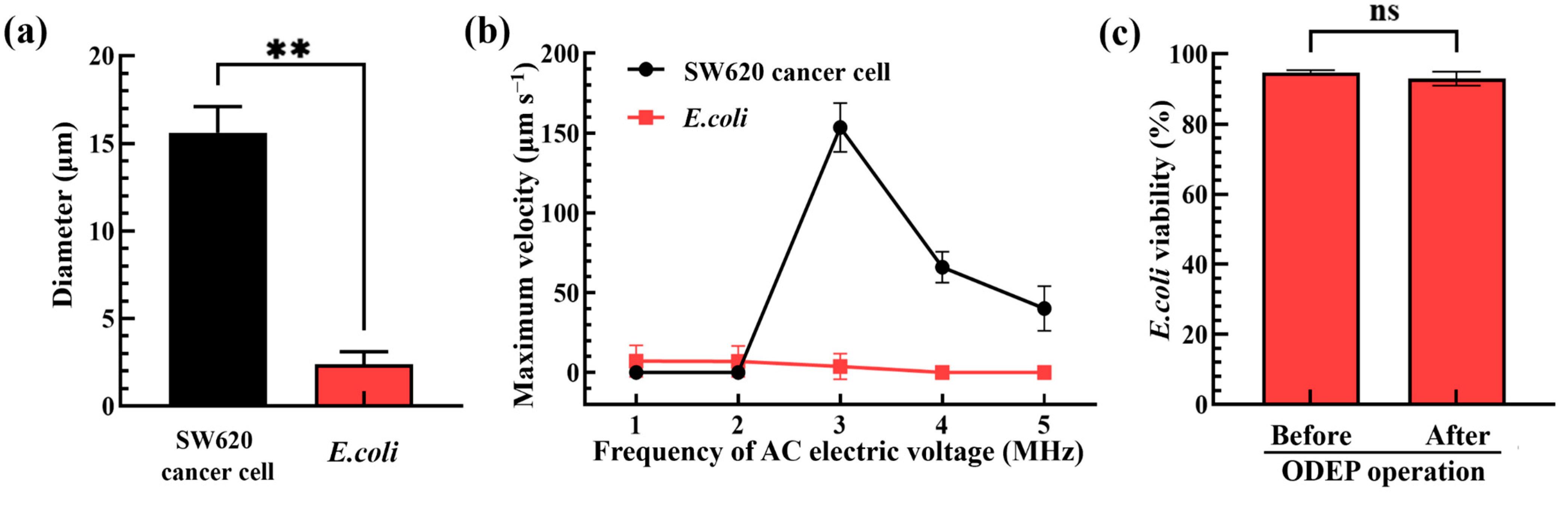 Biosensors 13 00952 g003