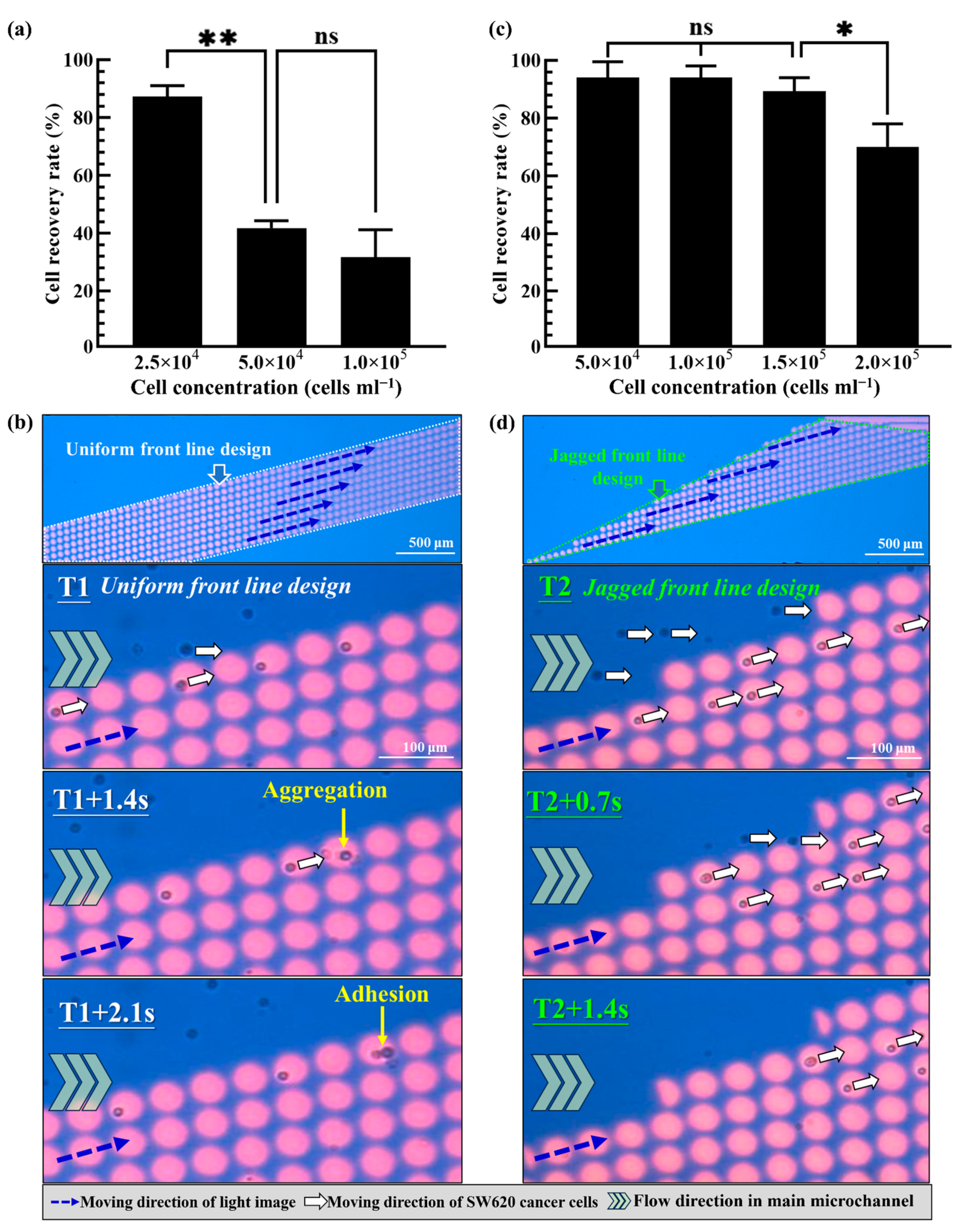 Biosensors 13 00952 g005