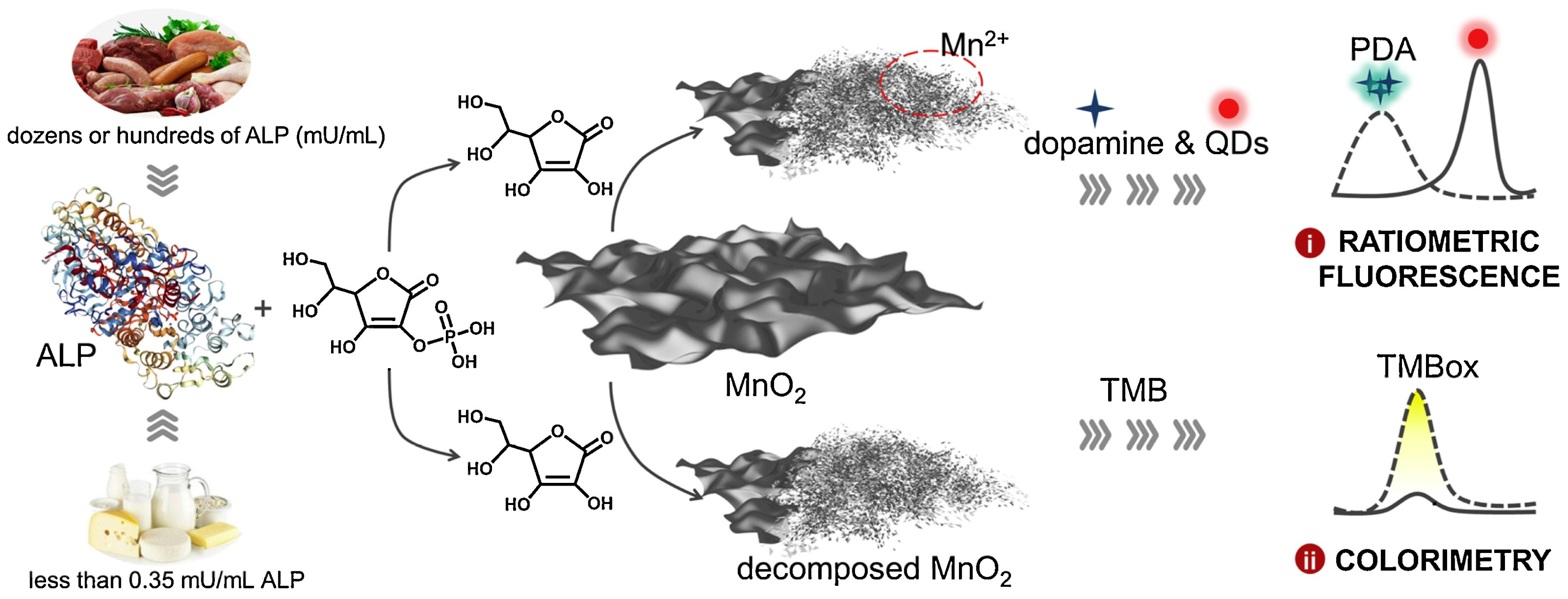Biosensors 13 00956 g007
