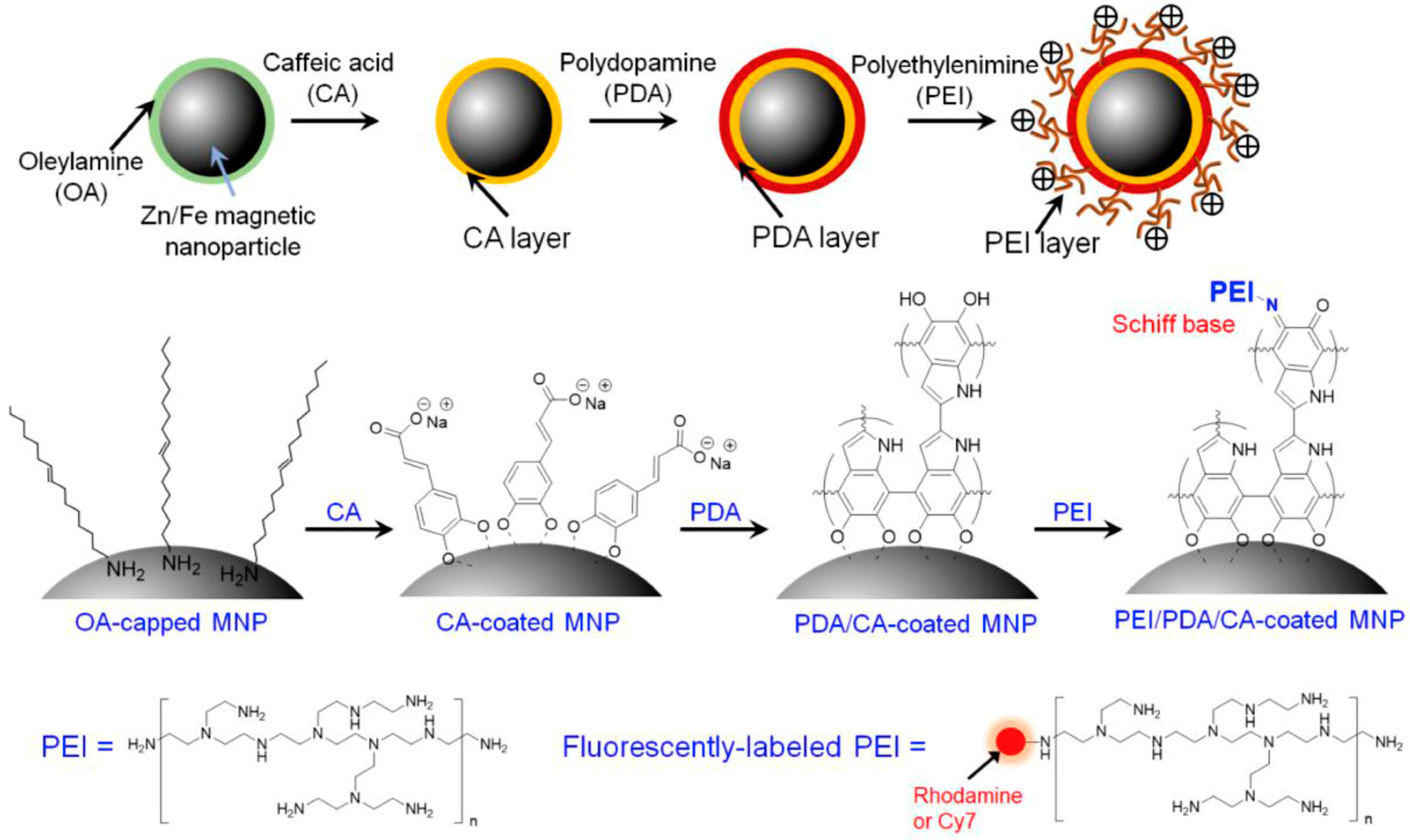 Biosensors 13 00956 g008