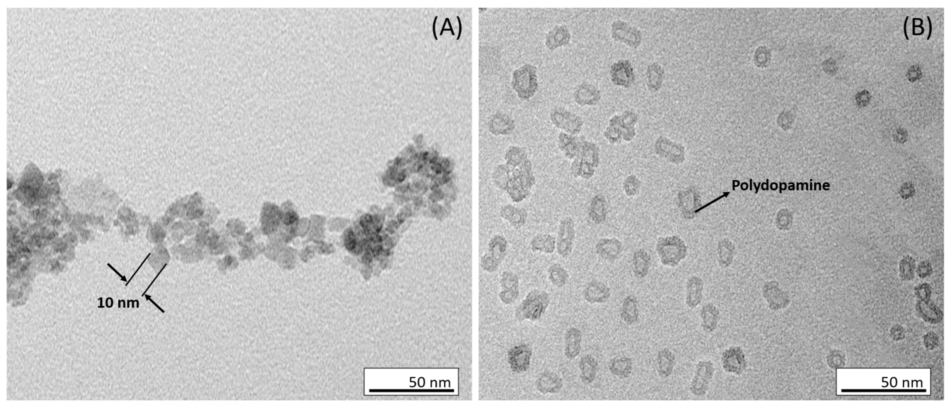 Biosensors 13 00957 g002 Biosensors 13 00957 g002