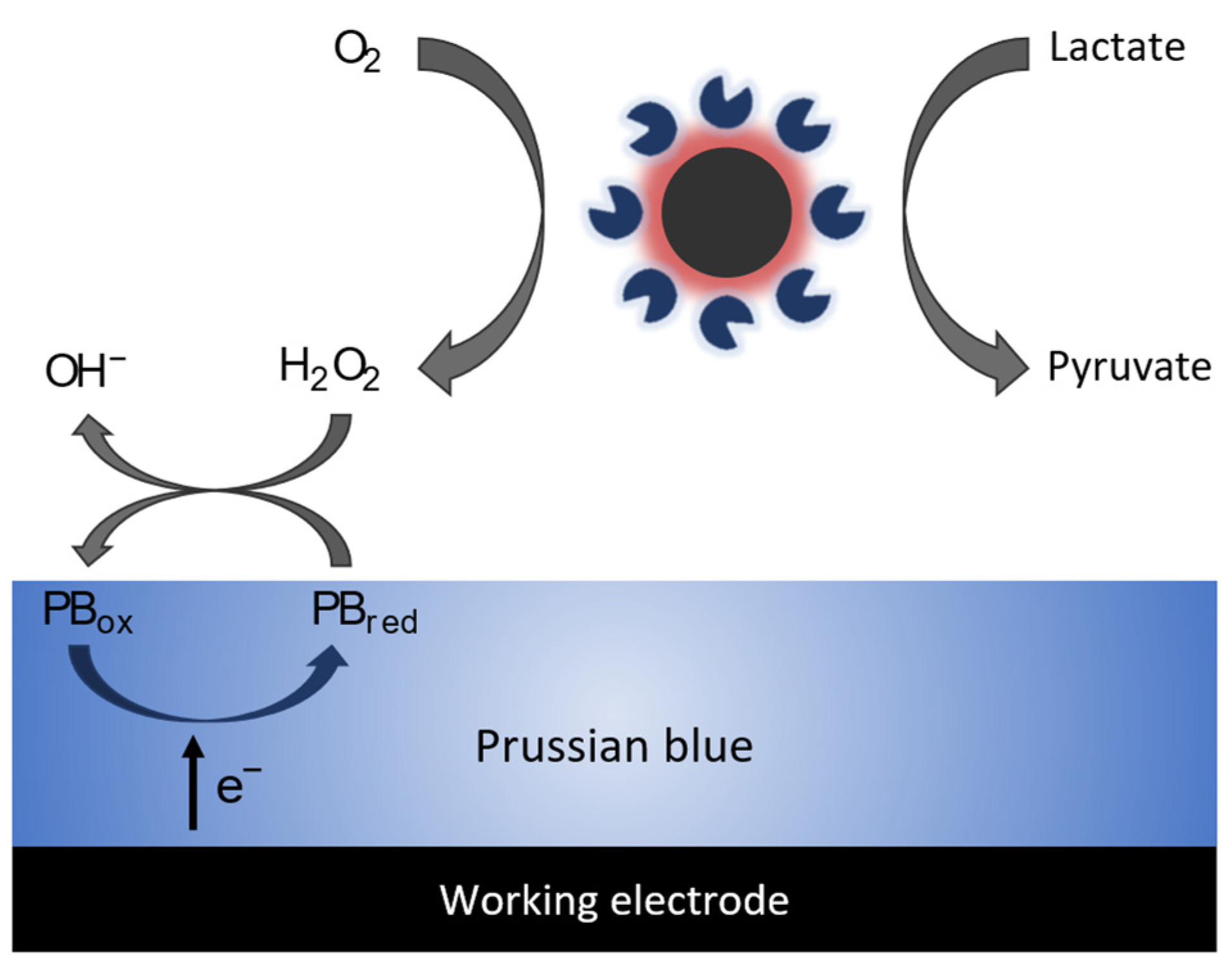 Biosensors 13 00957 g006 Biosensors 13 00957 g006