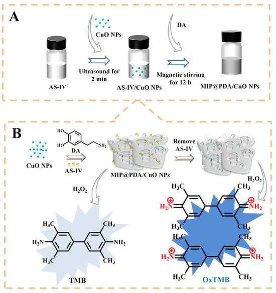 A Novel Molecularly Imprinted Sensor Based on CuO A Novel Molecularly Imprinted Sensor Based on CuO