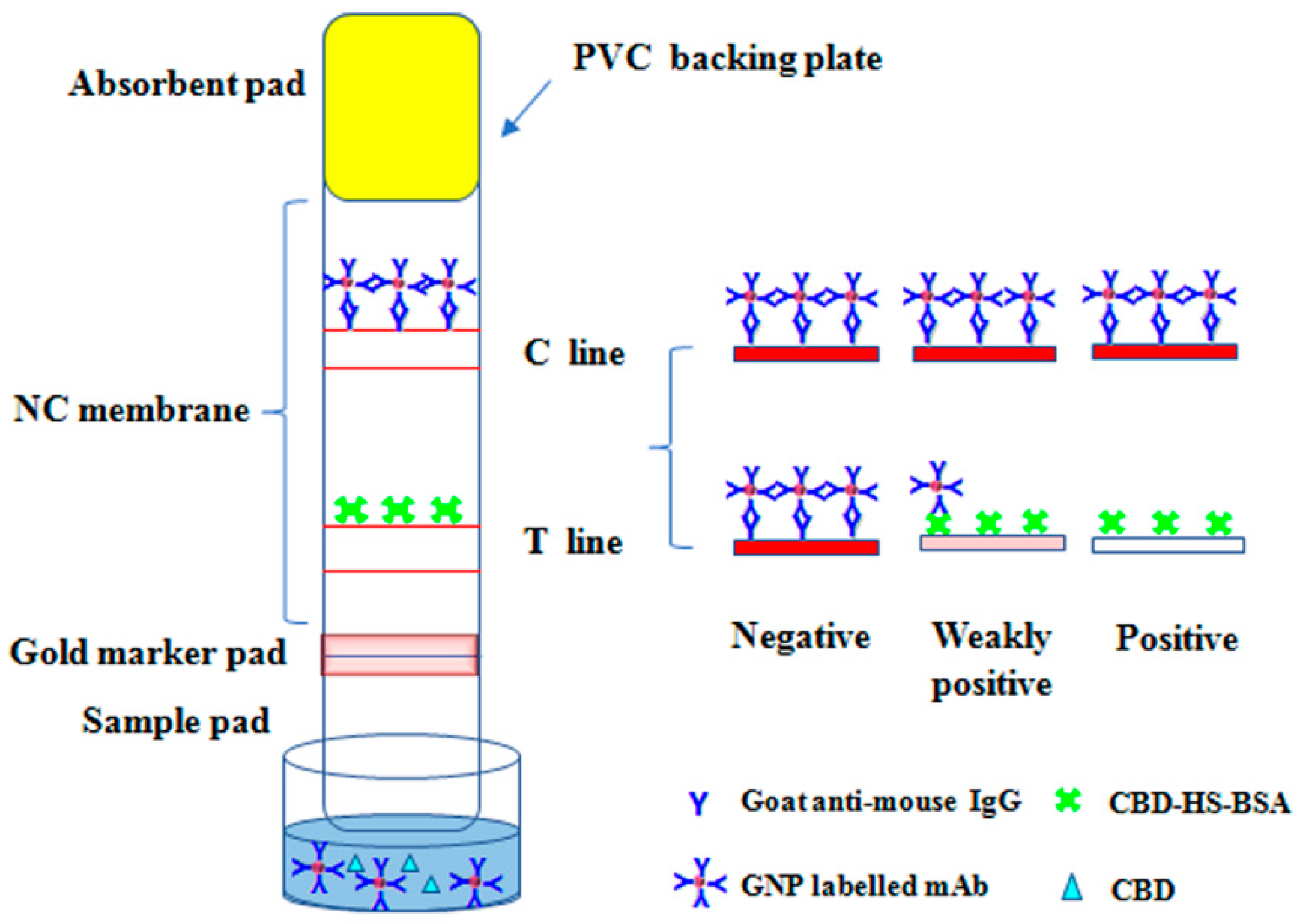 Biosensors 13 00960 g002