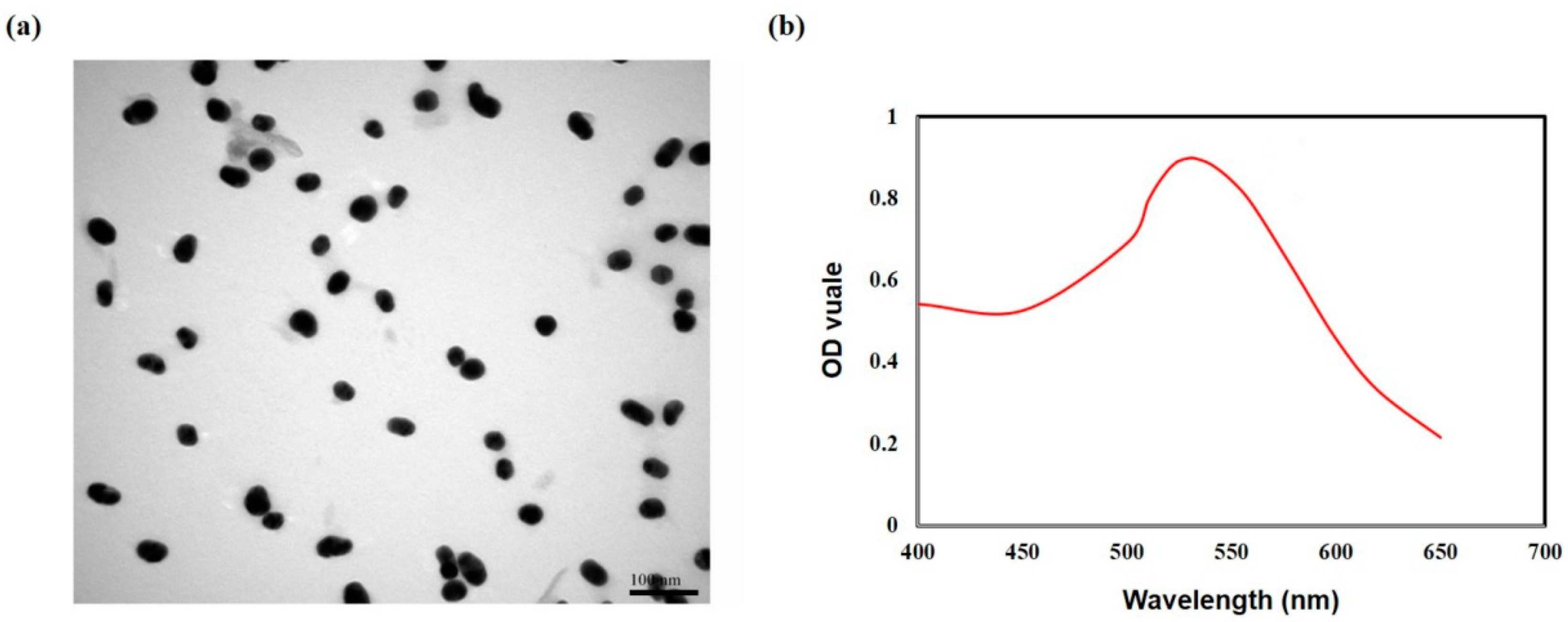 Biosensors 13 00960 g004
