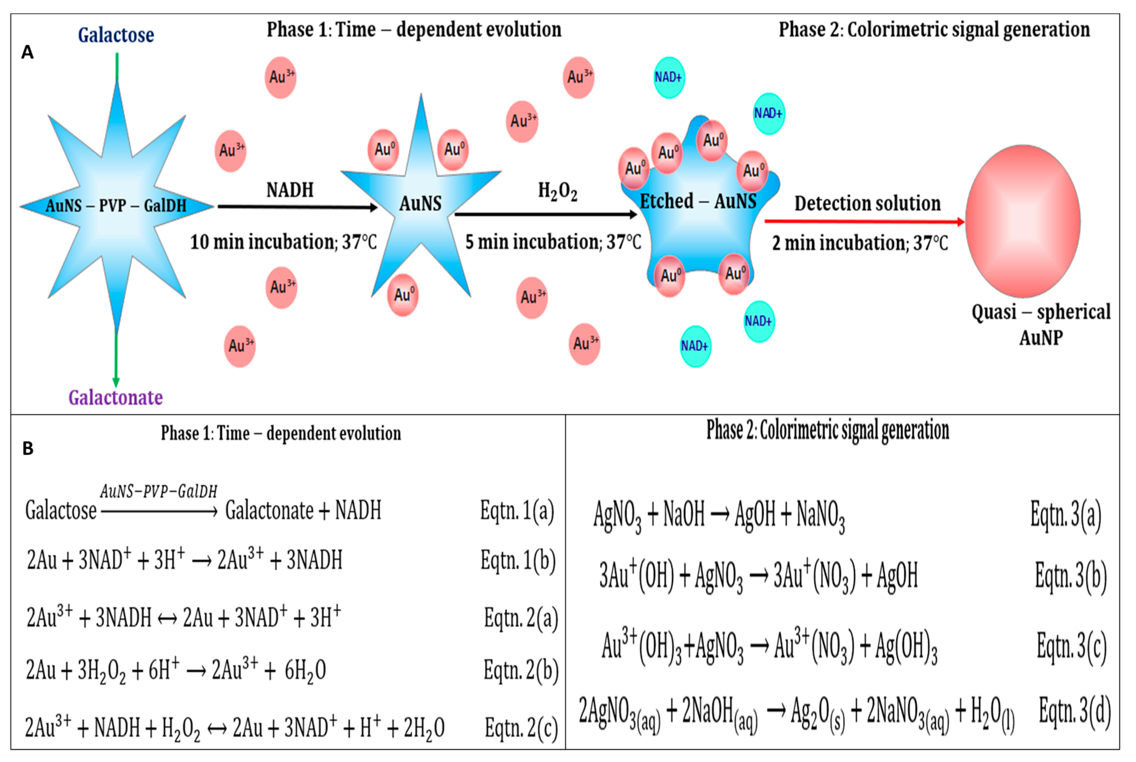 Biosensors 13 00965 sch002
