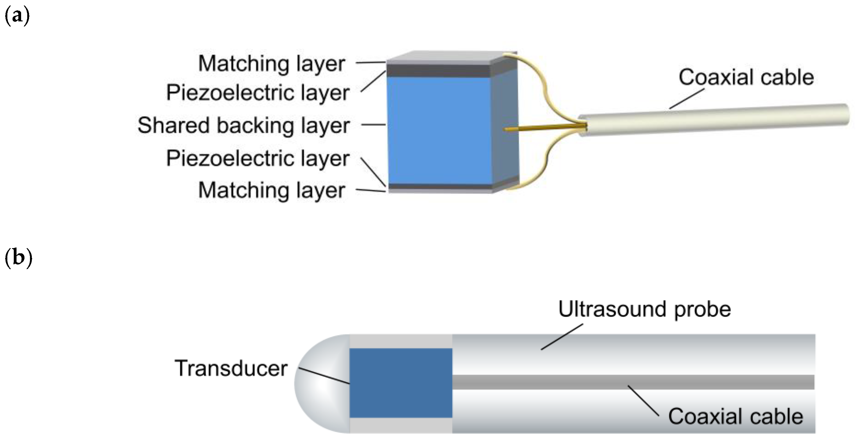 Biosensors 13 00971 g001 Biosensors 13 00971 g001