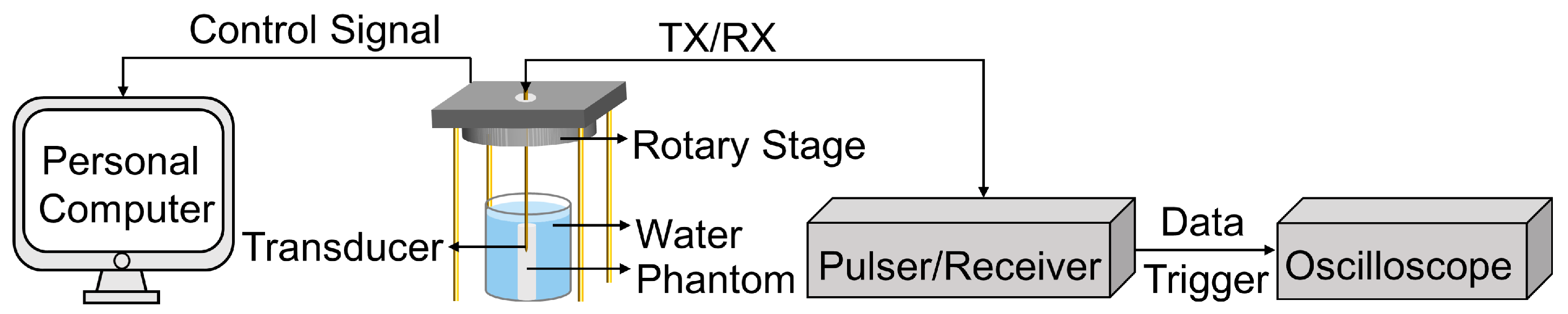 Biosensors 13 00971 g004 Biosensors 13 00971 g004