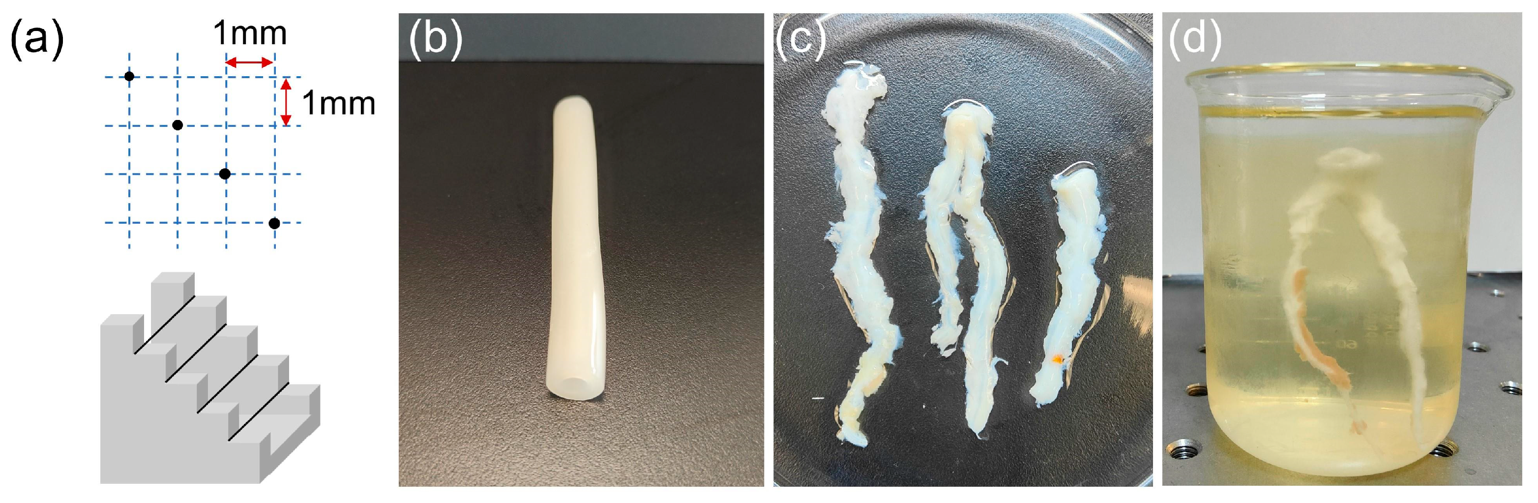 Biosensors 13 00971 g005 Biosensors 13 00971 g005