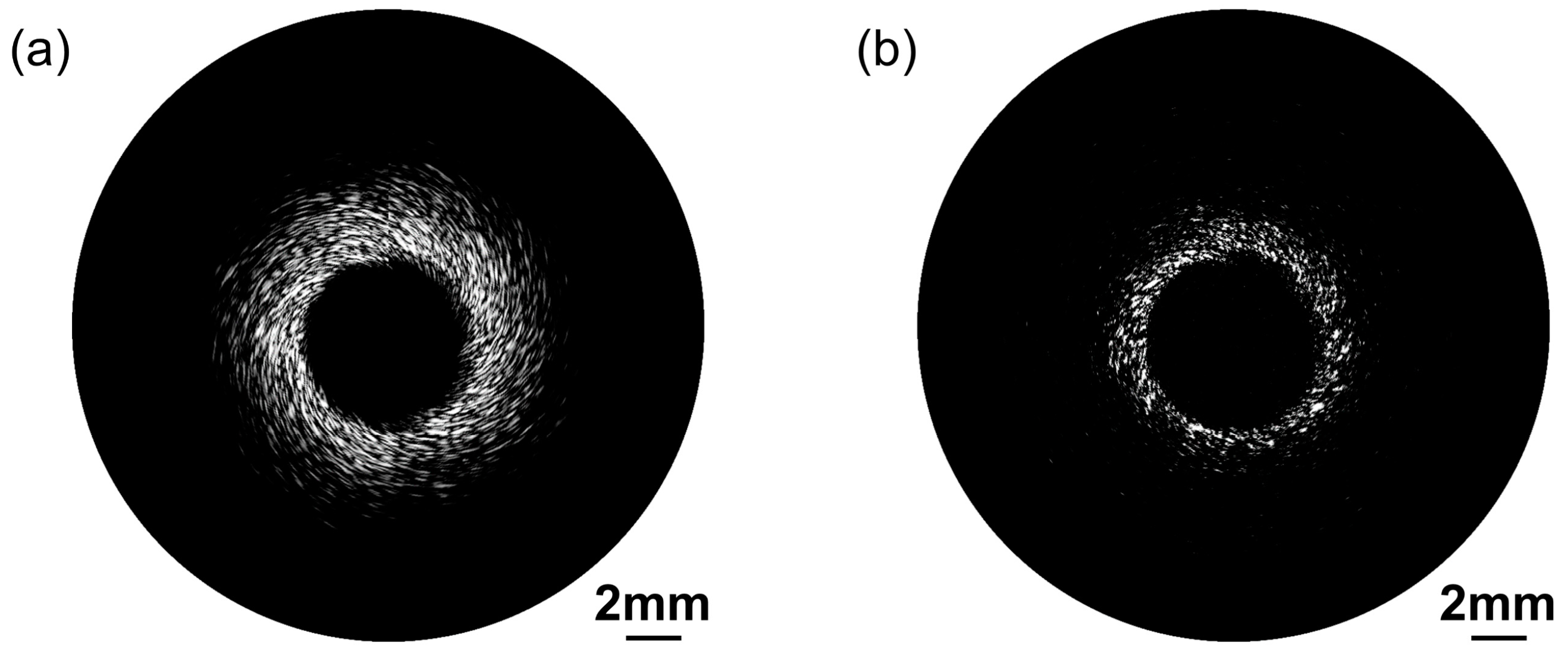 Biosensors 13 00971 g009 Biosensors 13 00971 g009