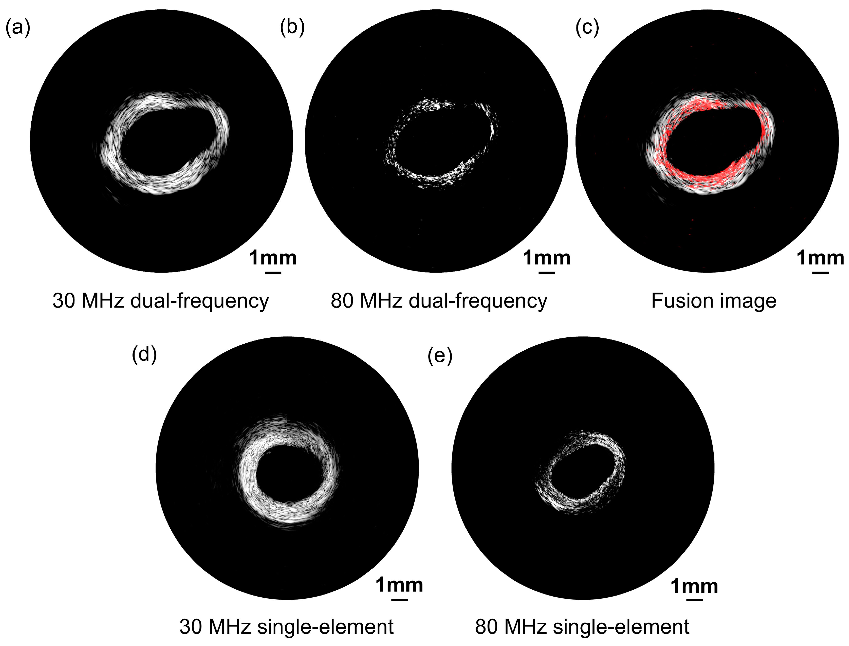 Biosensors 13 00971 g010 Biosensors 13 00971 g010