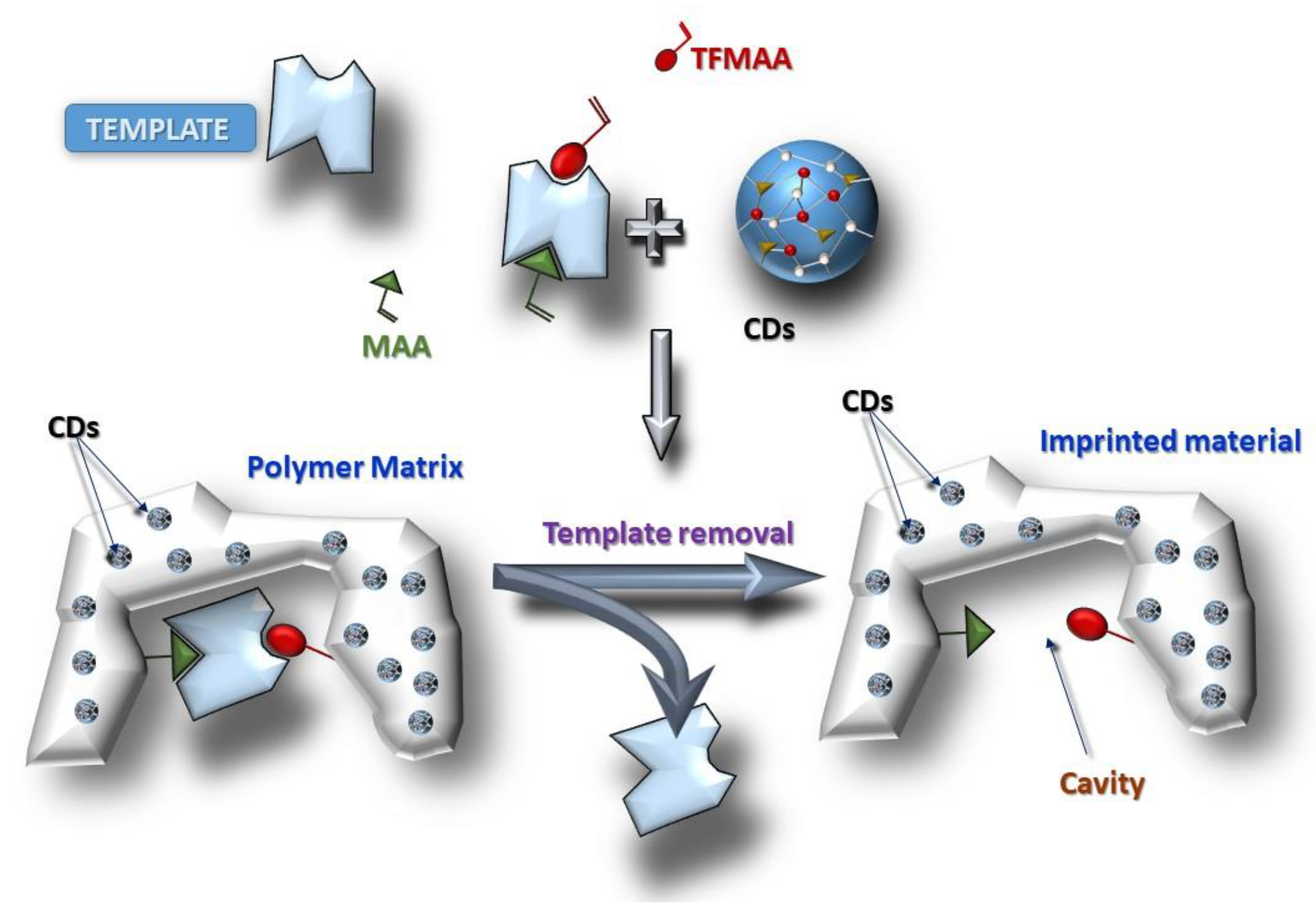 Biosensors 13 00972 g002