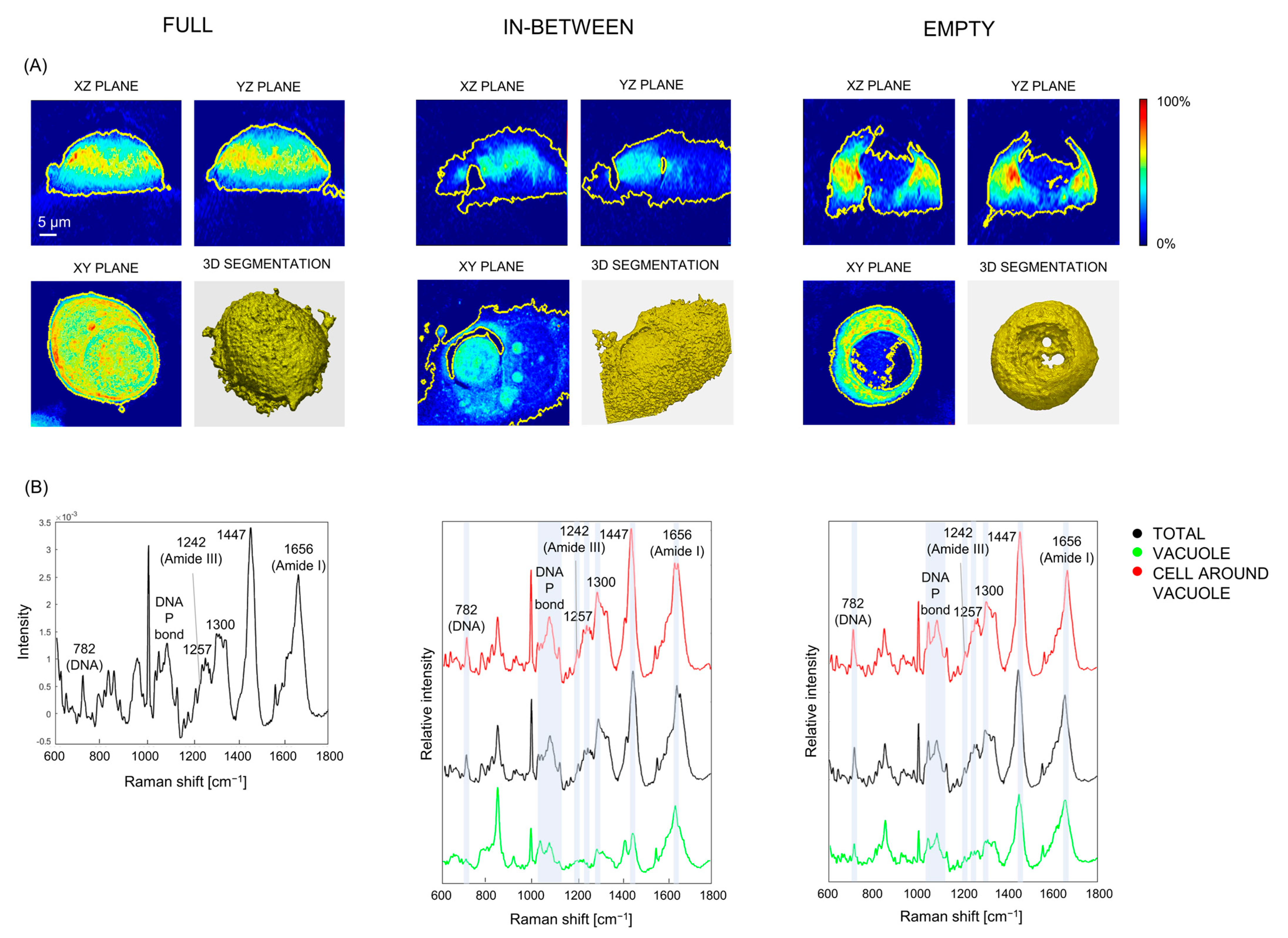 Biosensors 13 00973 g003