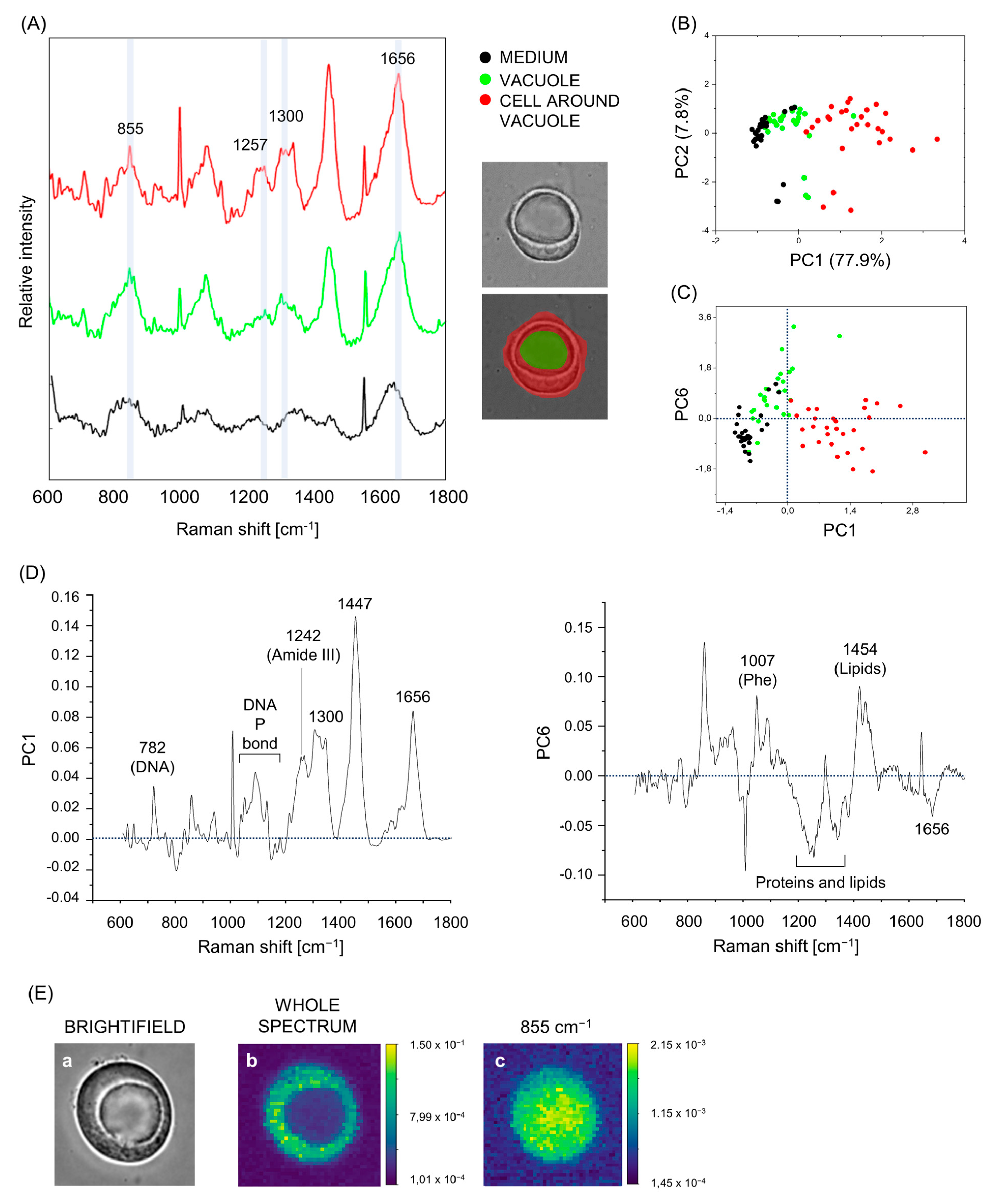 Biosensors 13 00973 g004