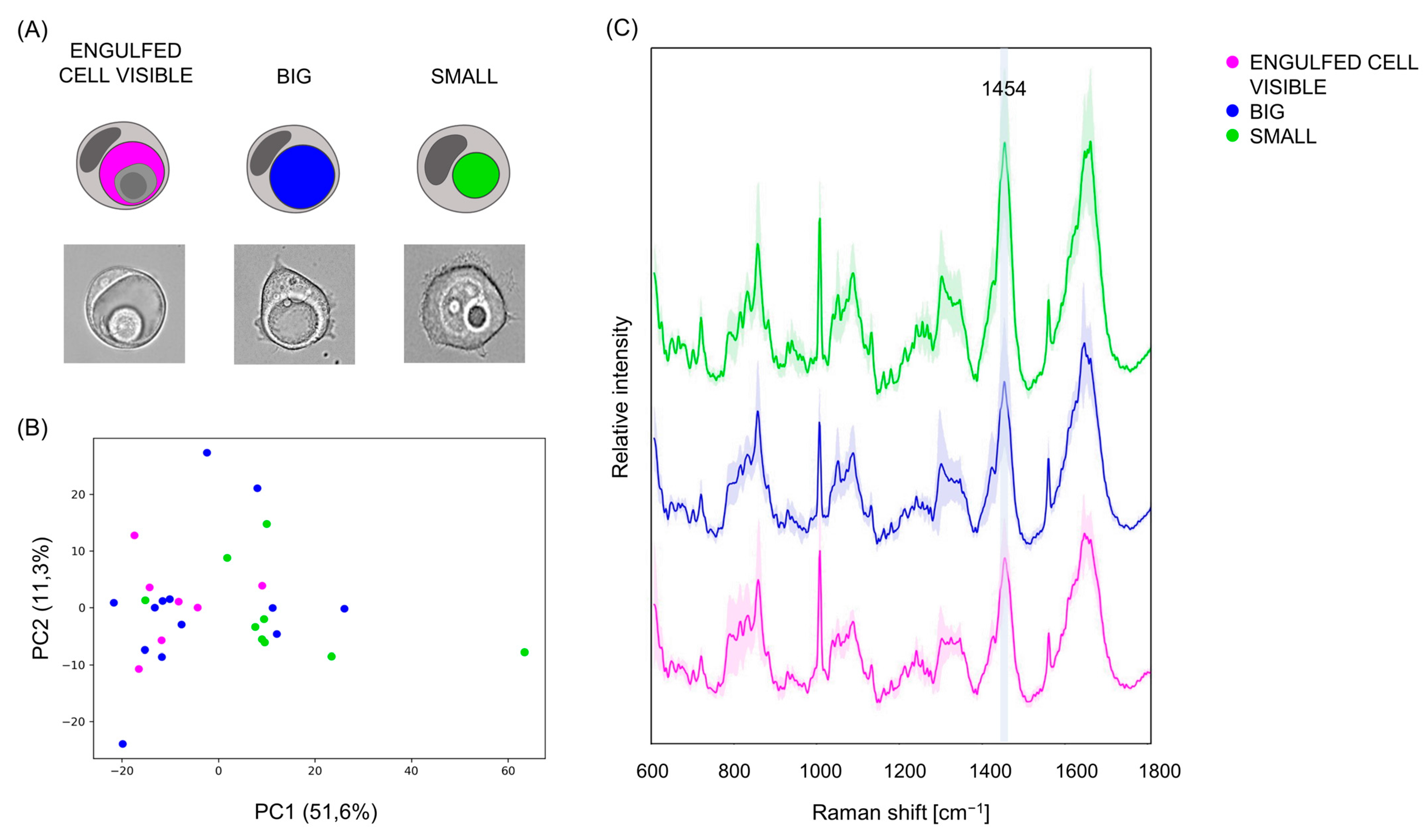 Biosensors 13 00973 g005