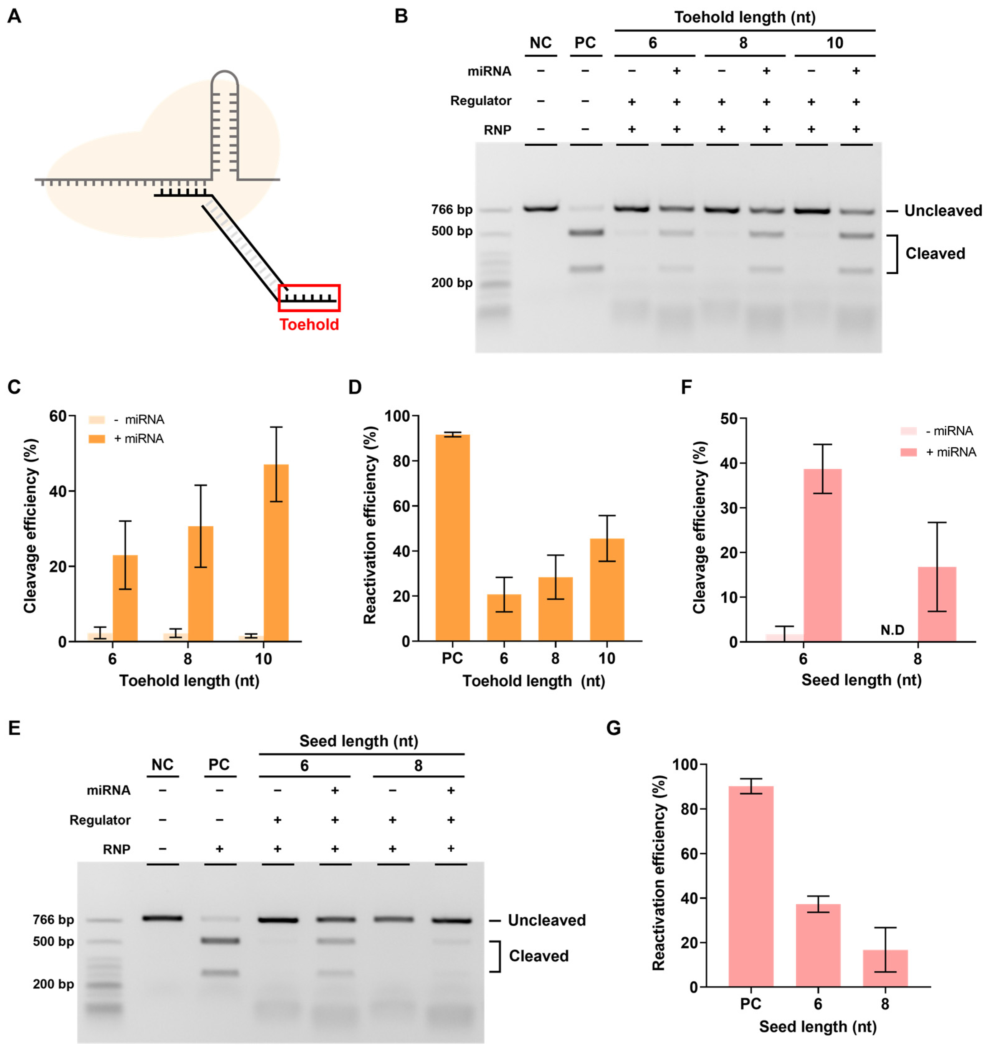 Biosensors 13 00975 g004