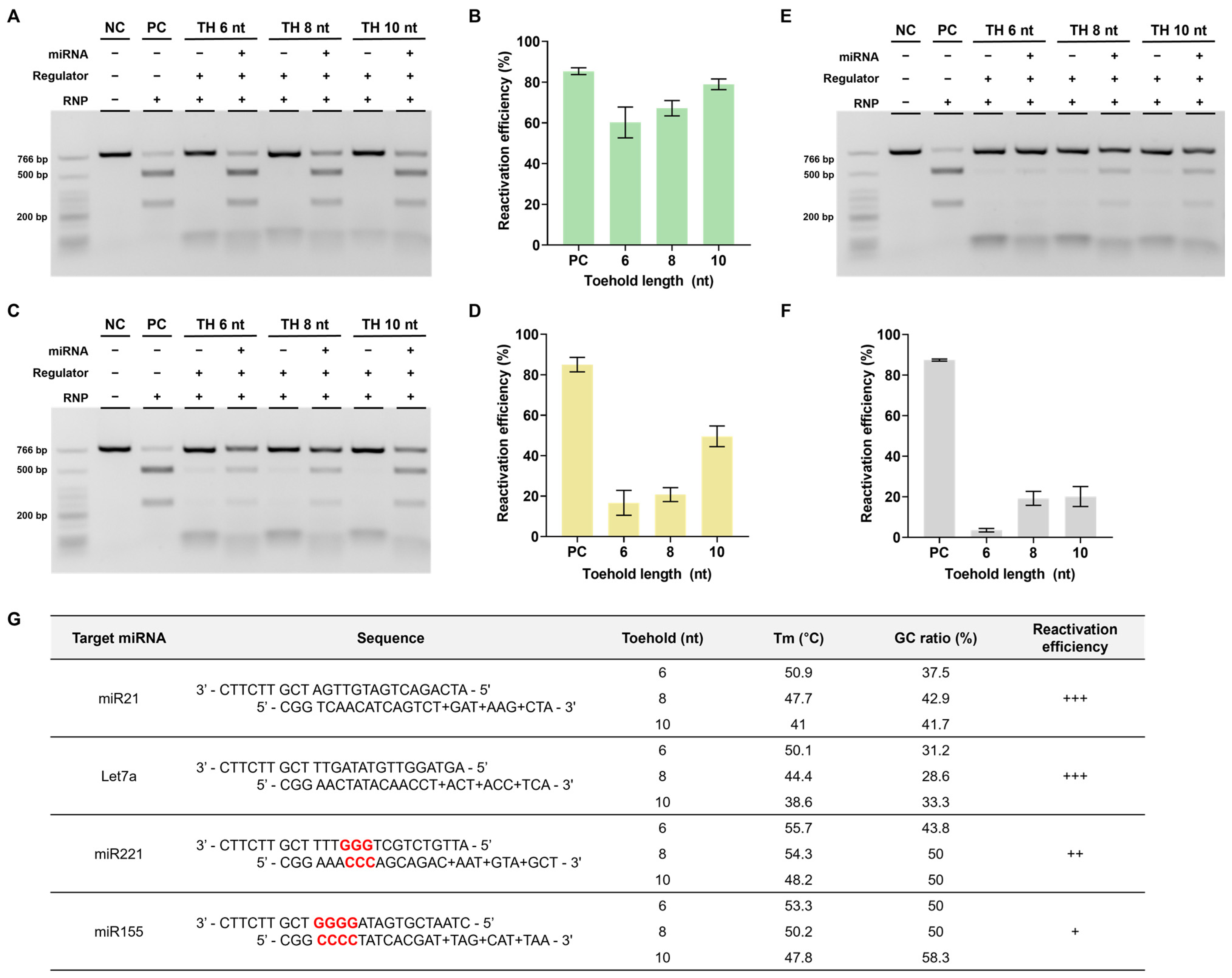Biosensors 13 00975 g006