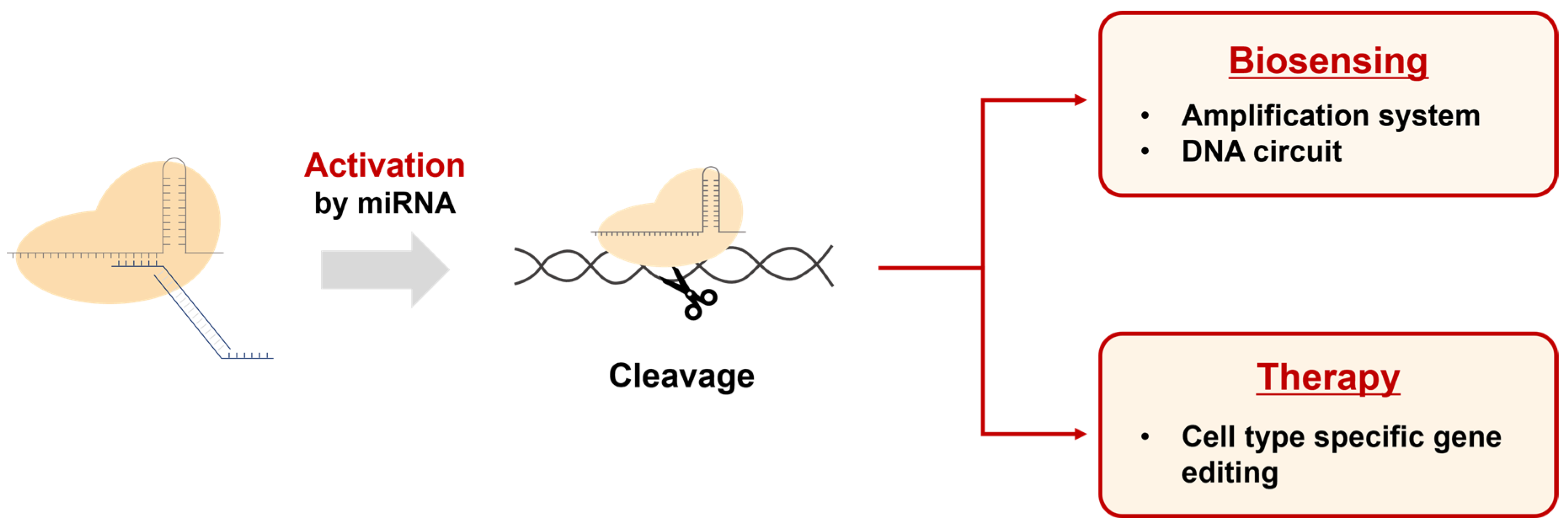 Biosensors 13 00975 g007