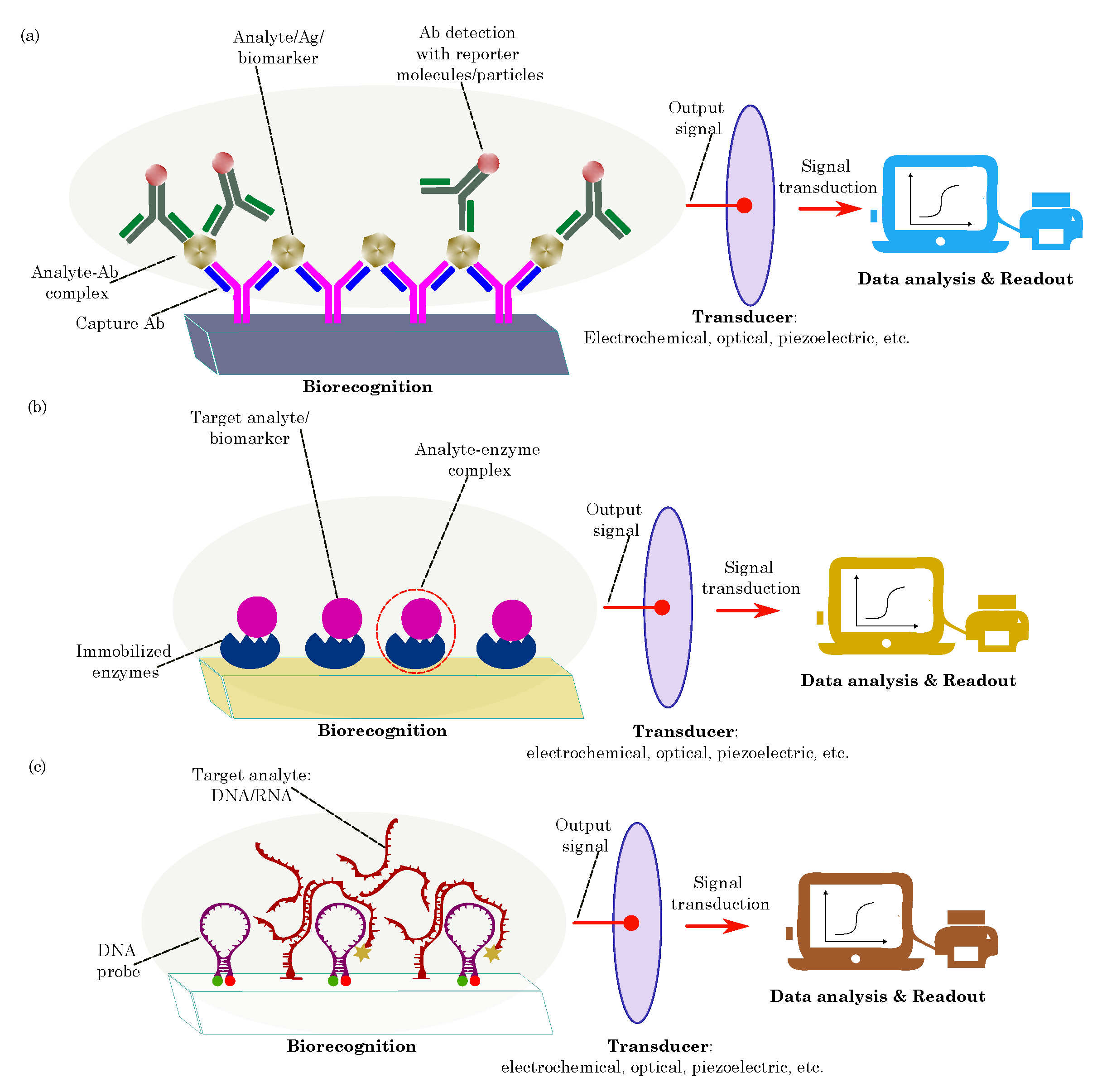 Biosensors 13 00976 g003