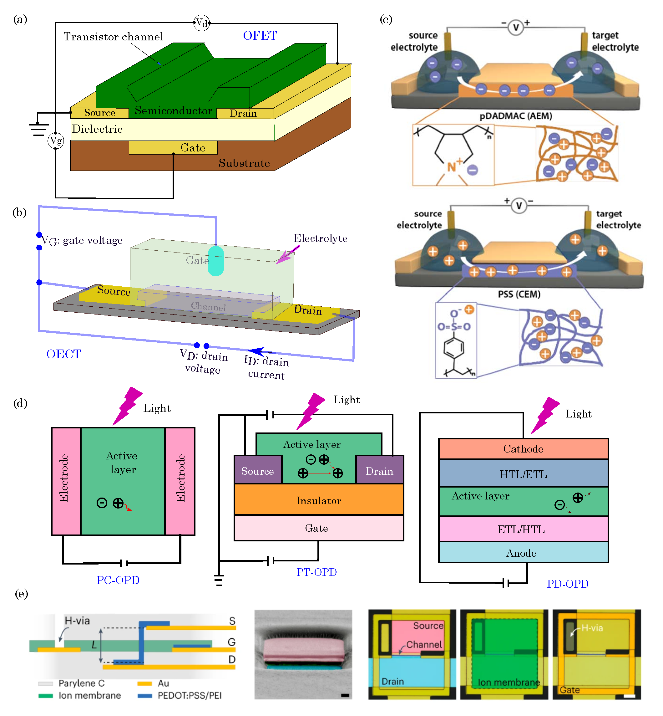 Biosensors 13 00976 g005
