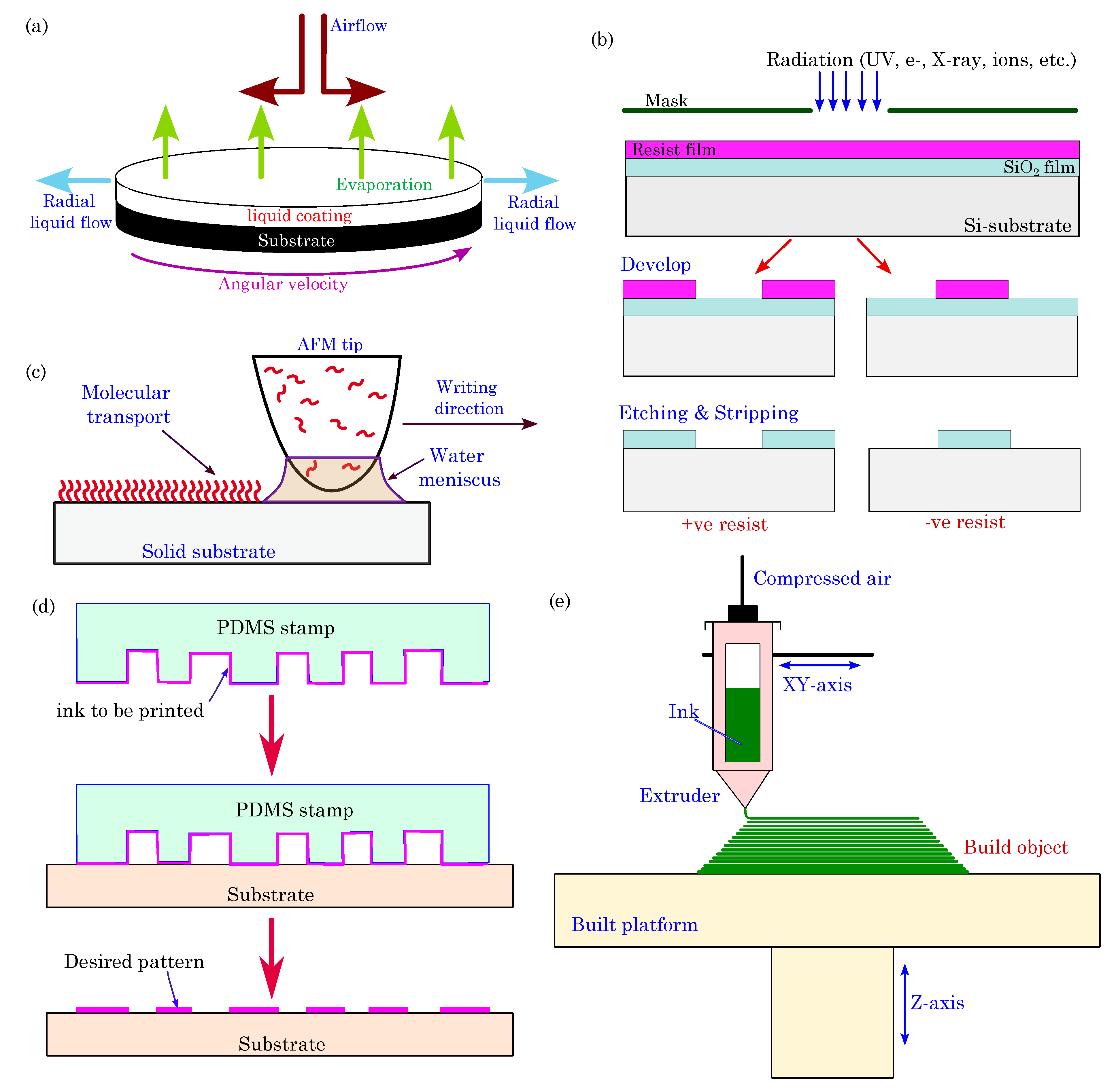 Biosensors 13 00976 g006