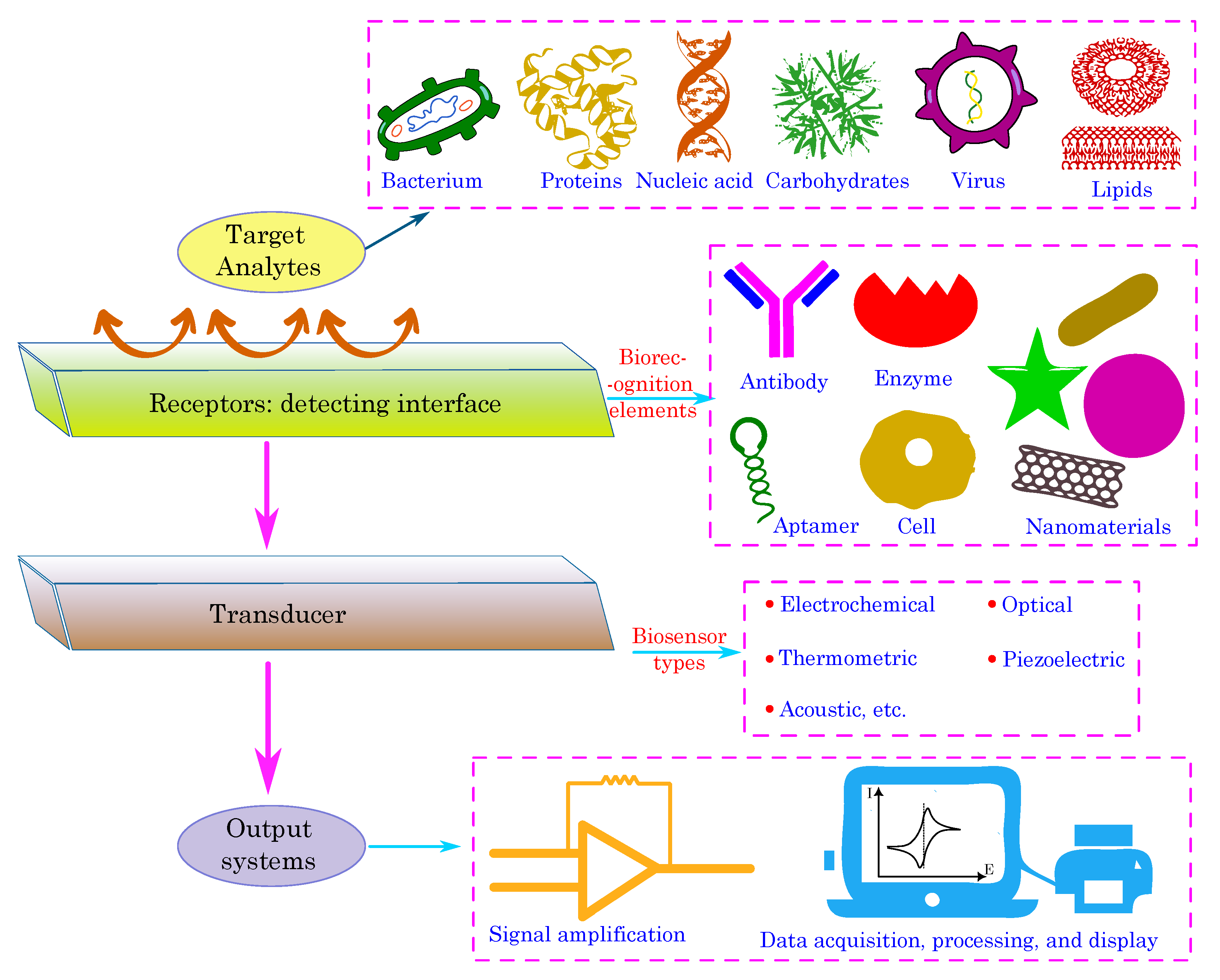 Biosensors 13 00976 g007