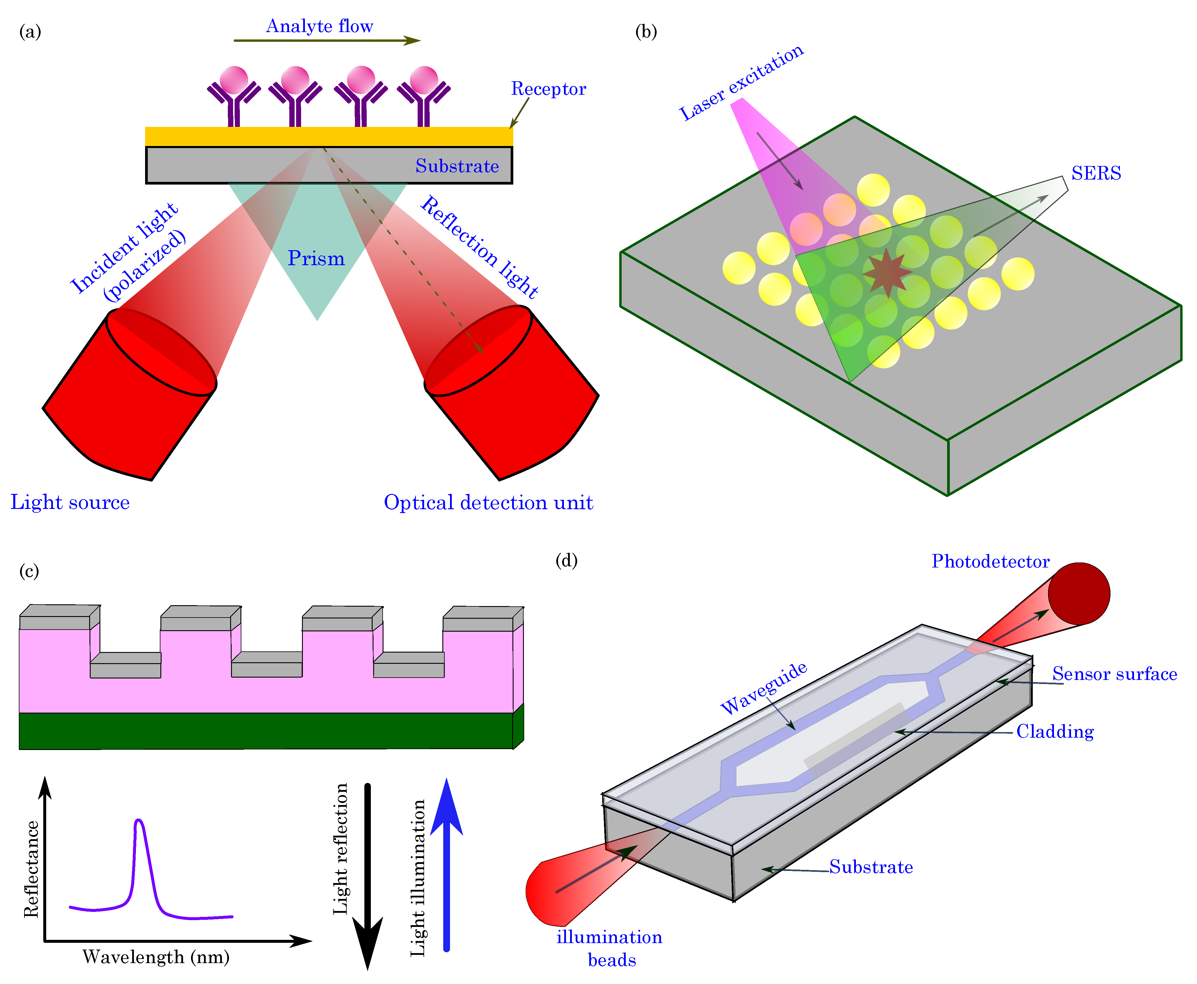 Biosensors 13 00976 g009