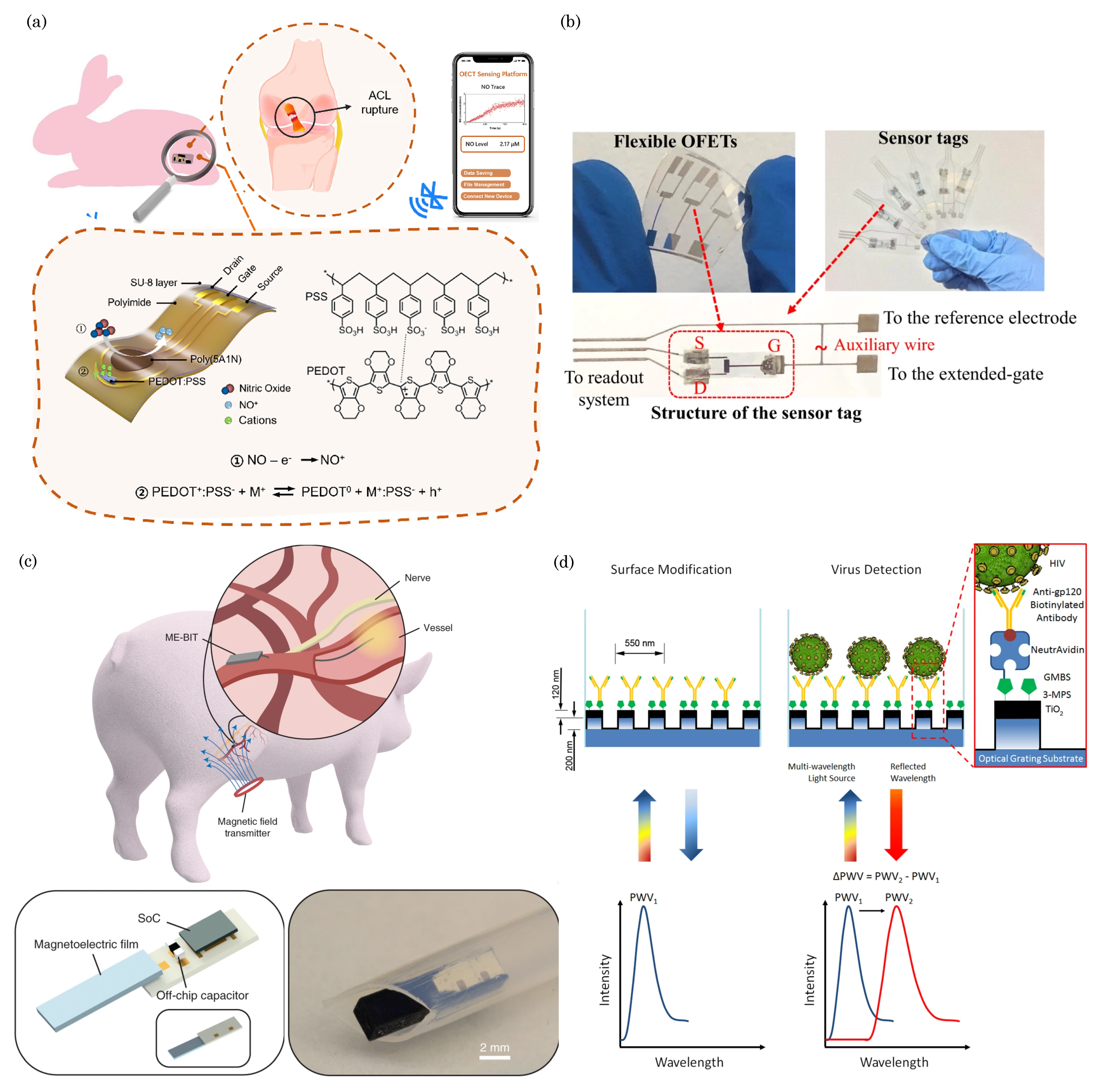 Biosensors 13 00976 g011