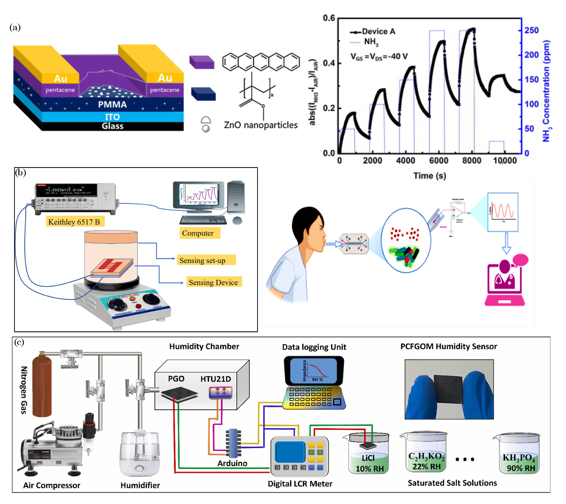 Biosensors 13 00976 g013