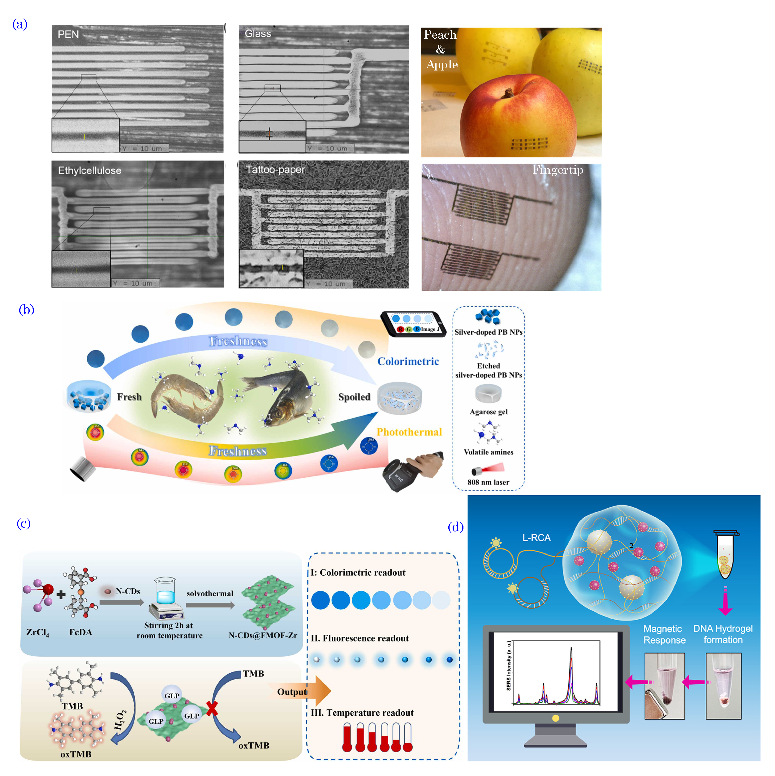 Biosensors 13 00976 g014