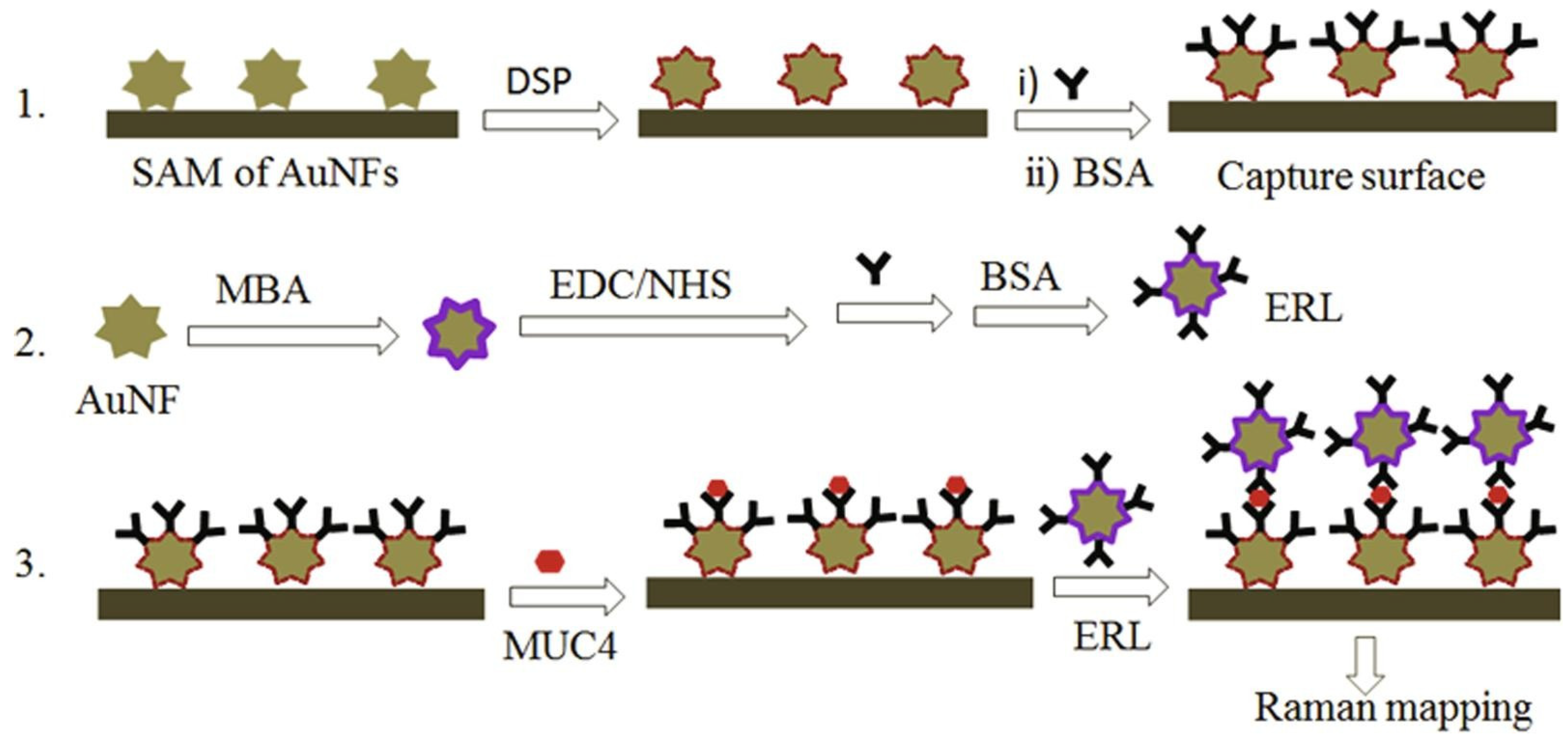 Biosensors 13 00977 g005