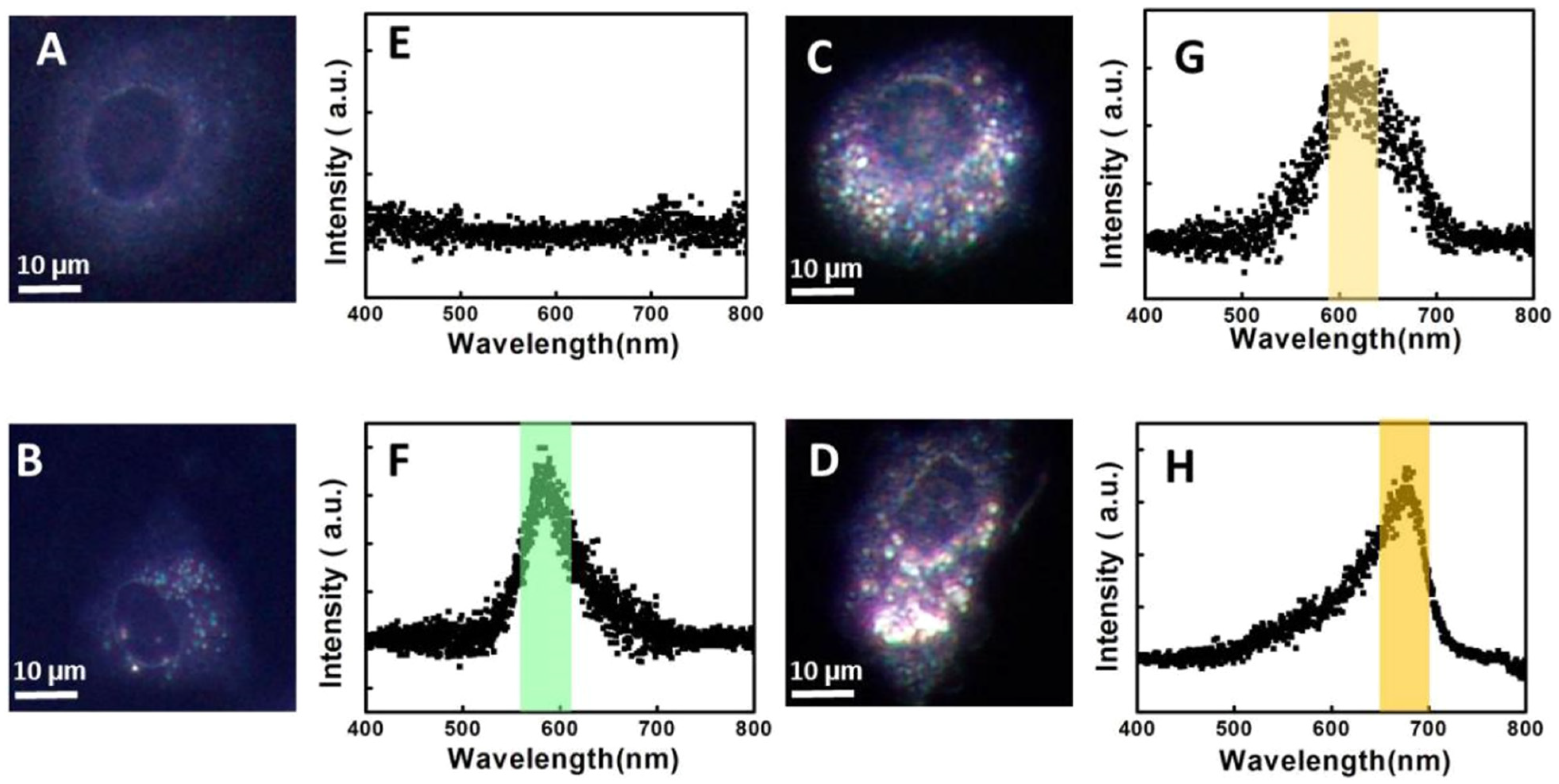 Biosensors 13 00977 g010