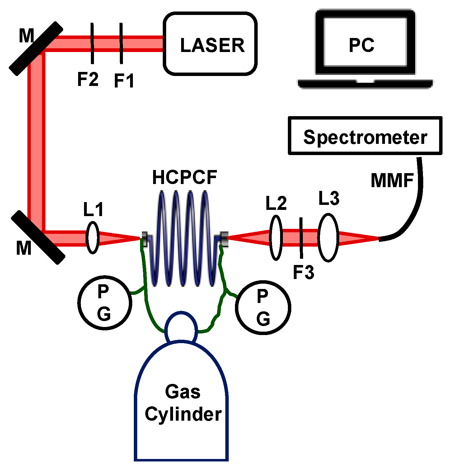Biosensors 13 00979 g001