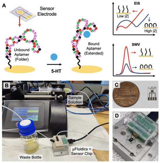 Continuous Real-Time Detection of Serotonin Using an Aptamer-Based 