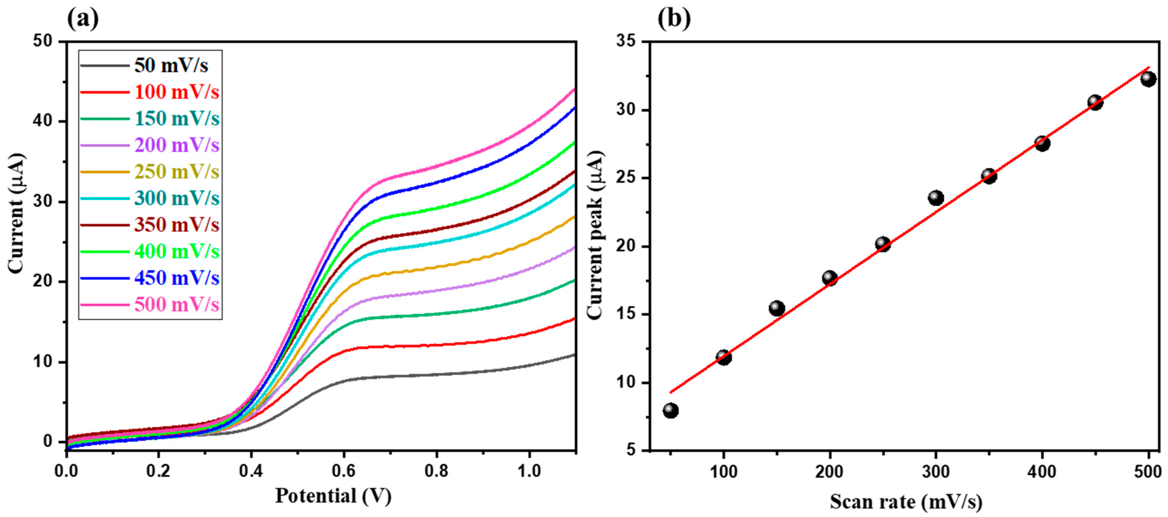 Biosensors 13 00986 g006
