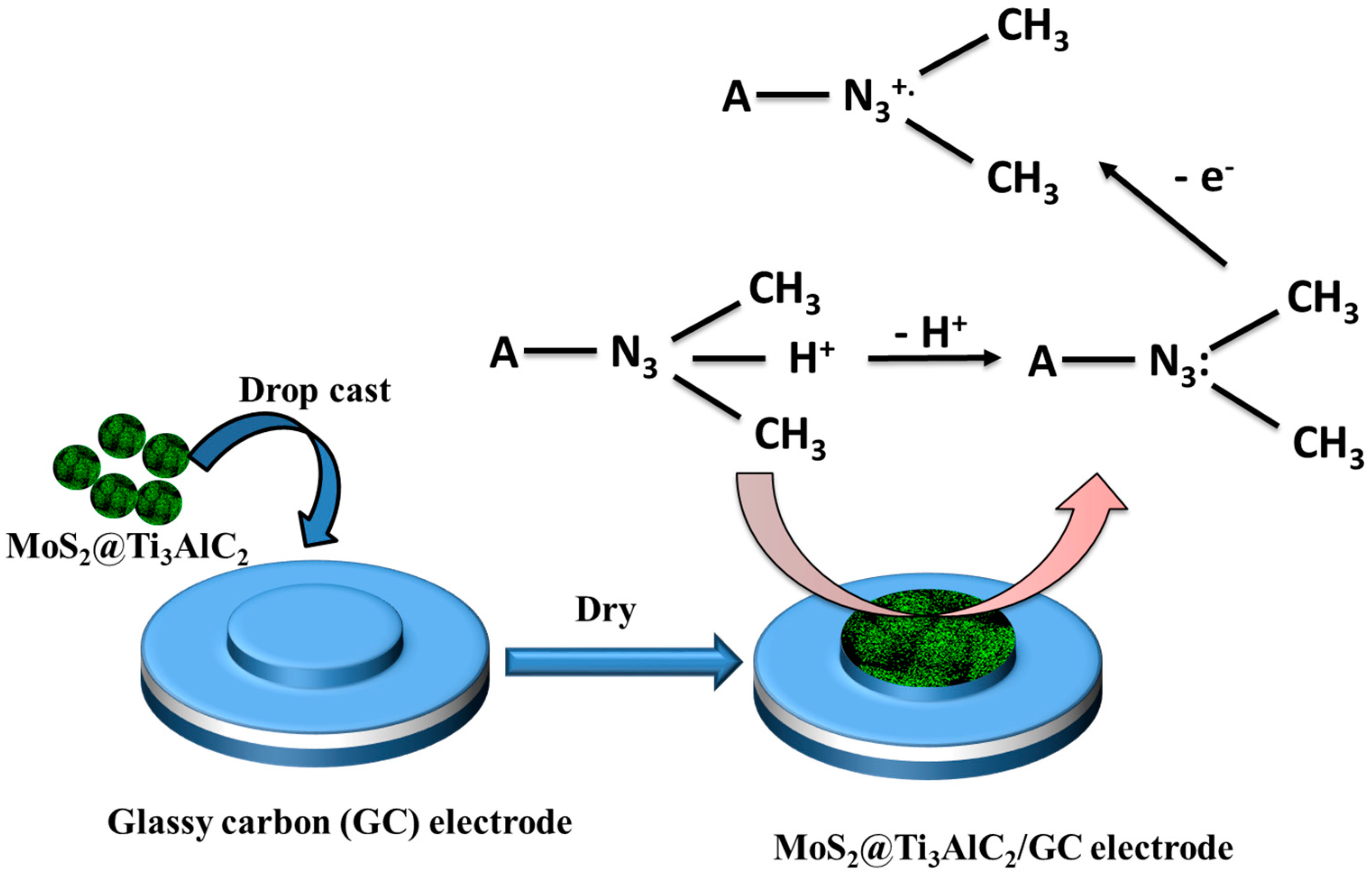 Biosensors 13 00986 sch002