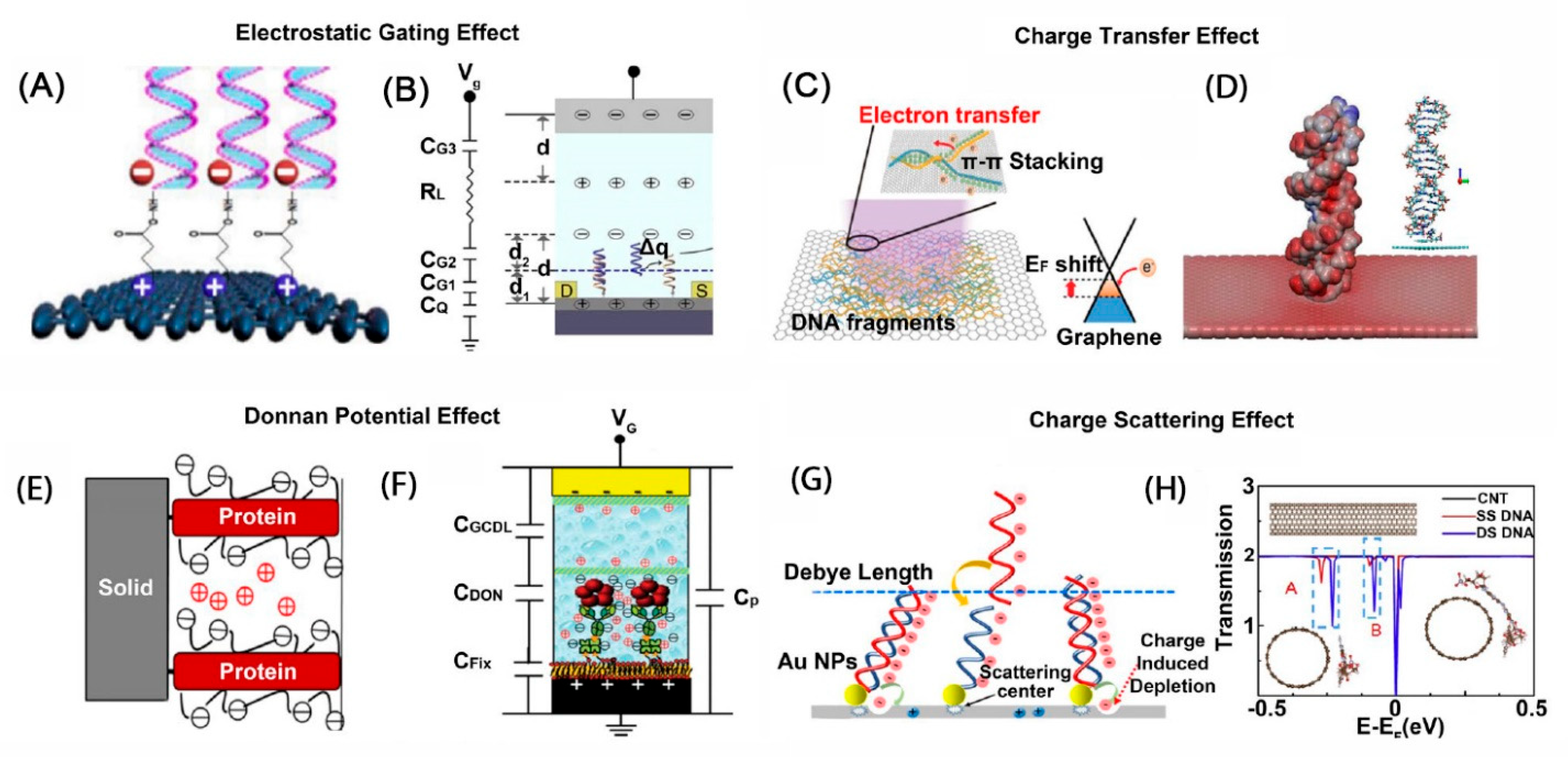 Biosensors 13 00987 g005