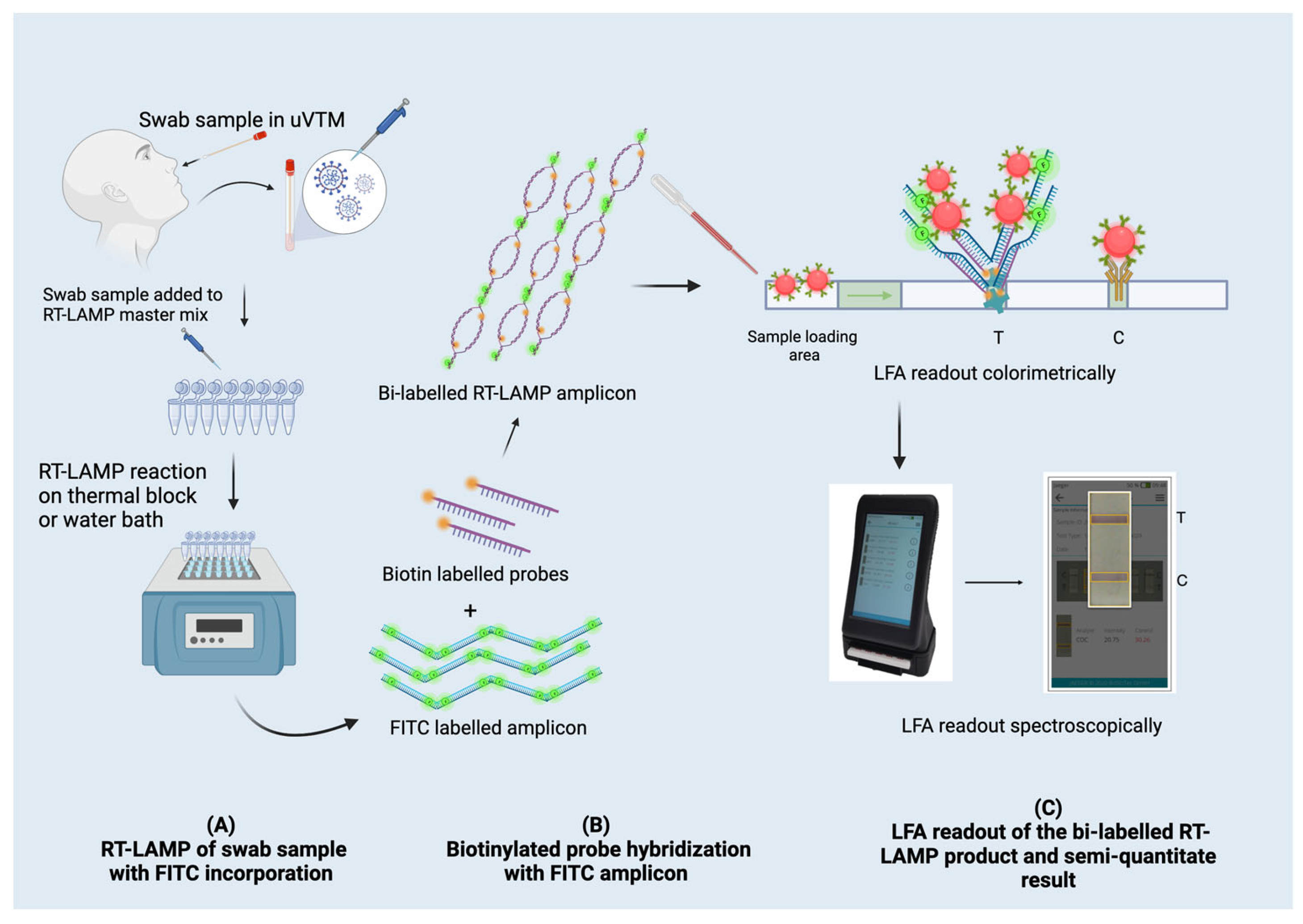 Biosensors 13 00988 g001