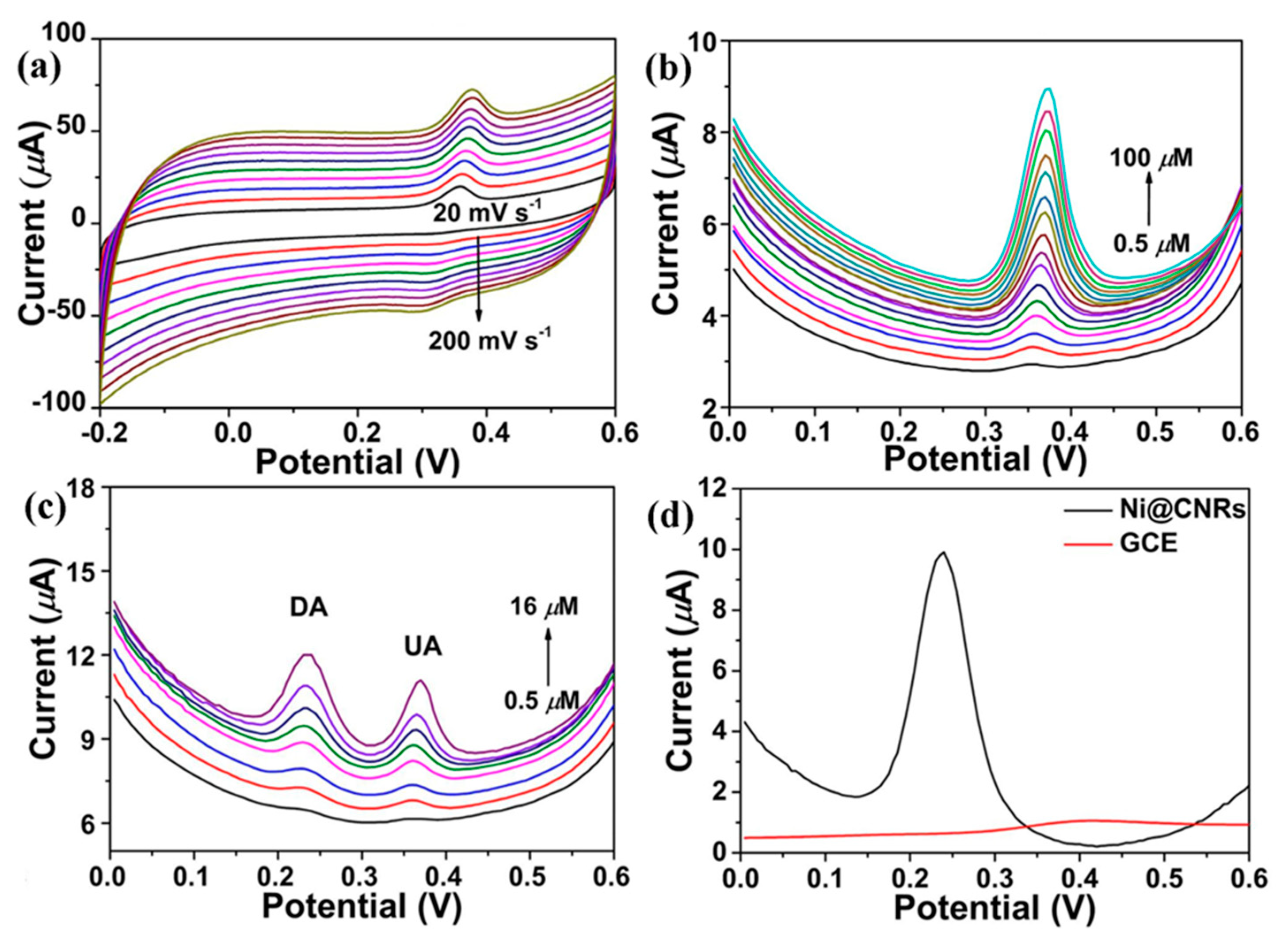 Biosensors 13 00989 g006