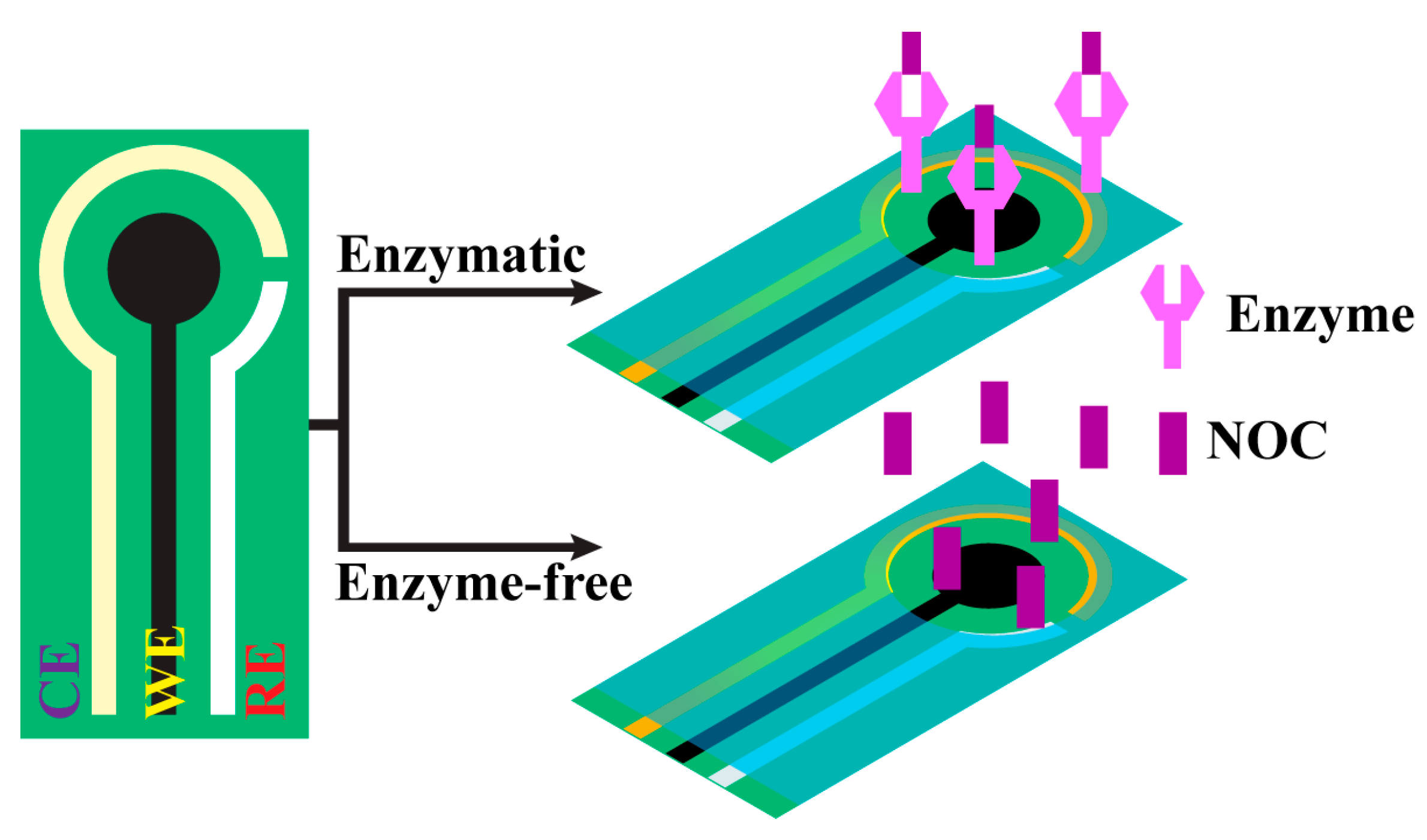 Biosensors 13 00989 g012