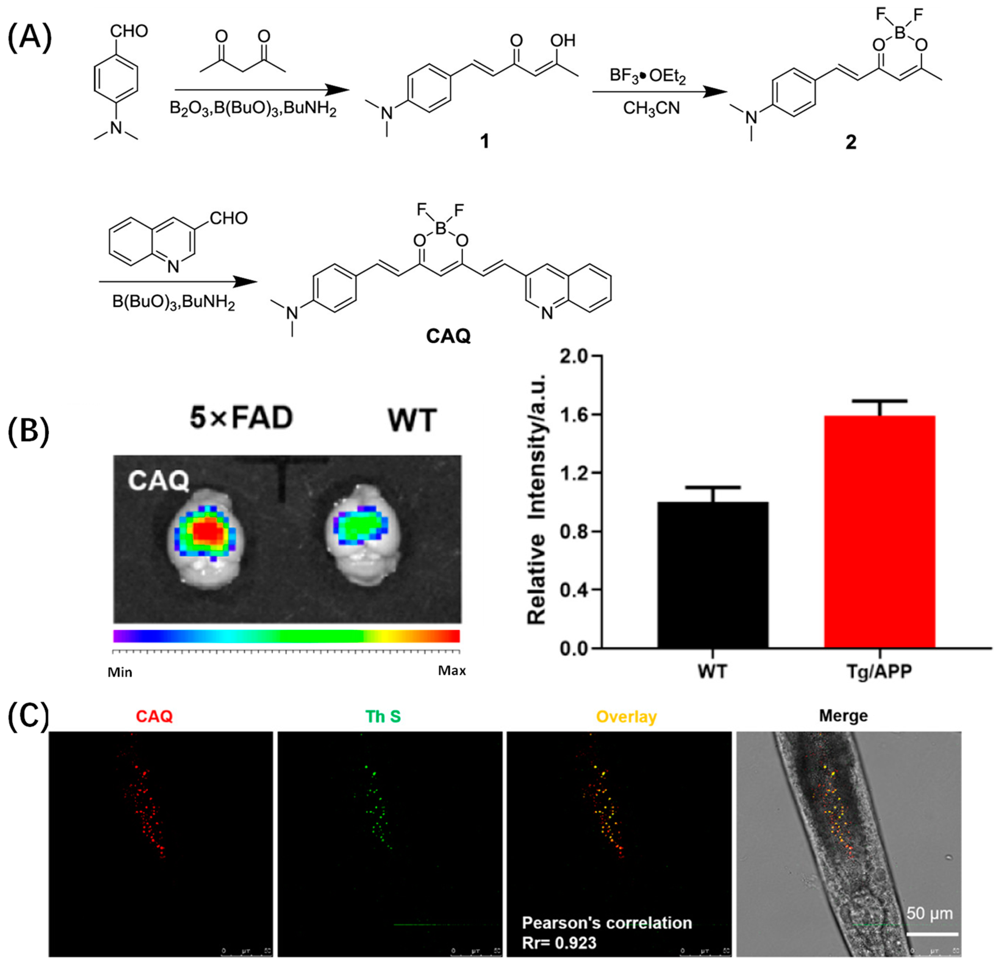 Biosensors 13 00990 g003