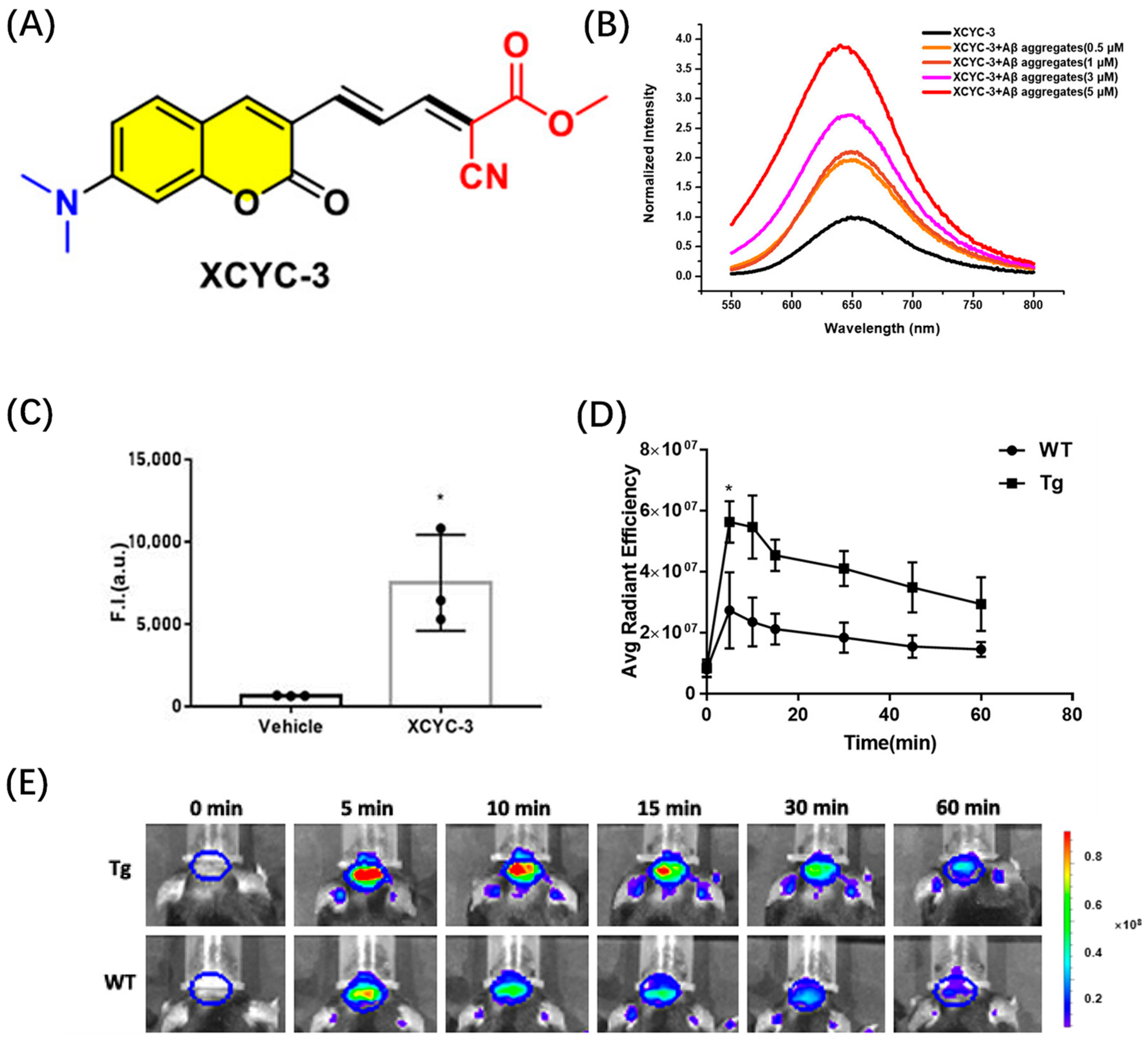 Biosensors 13 00990 g006